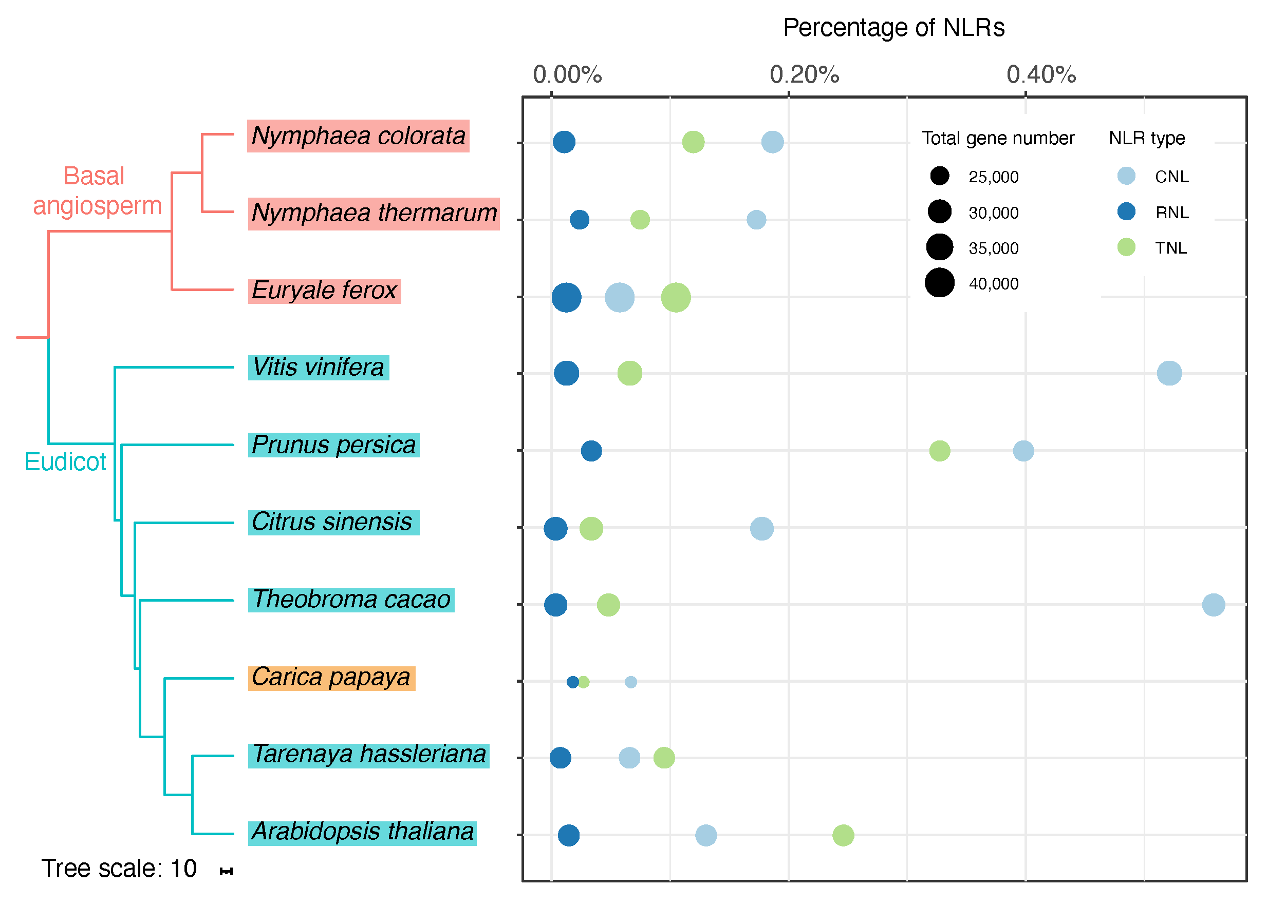Agronomy 13 00970 g001 Agronomy 13 00970 g001