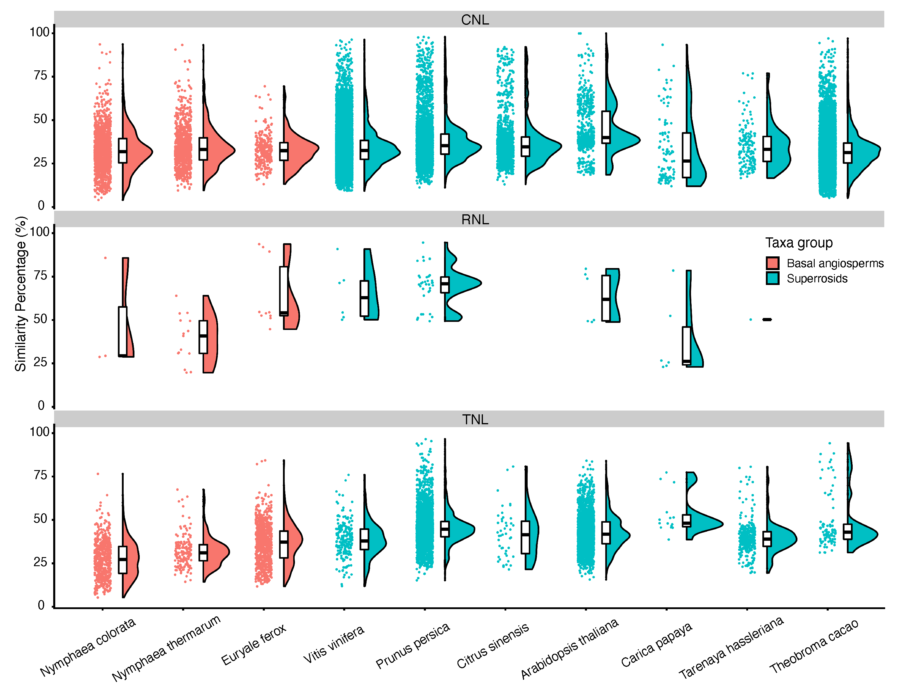Agronomy 13 00970 g002 Agronomy 13 00970 g002