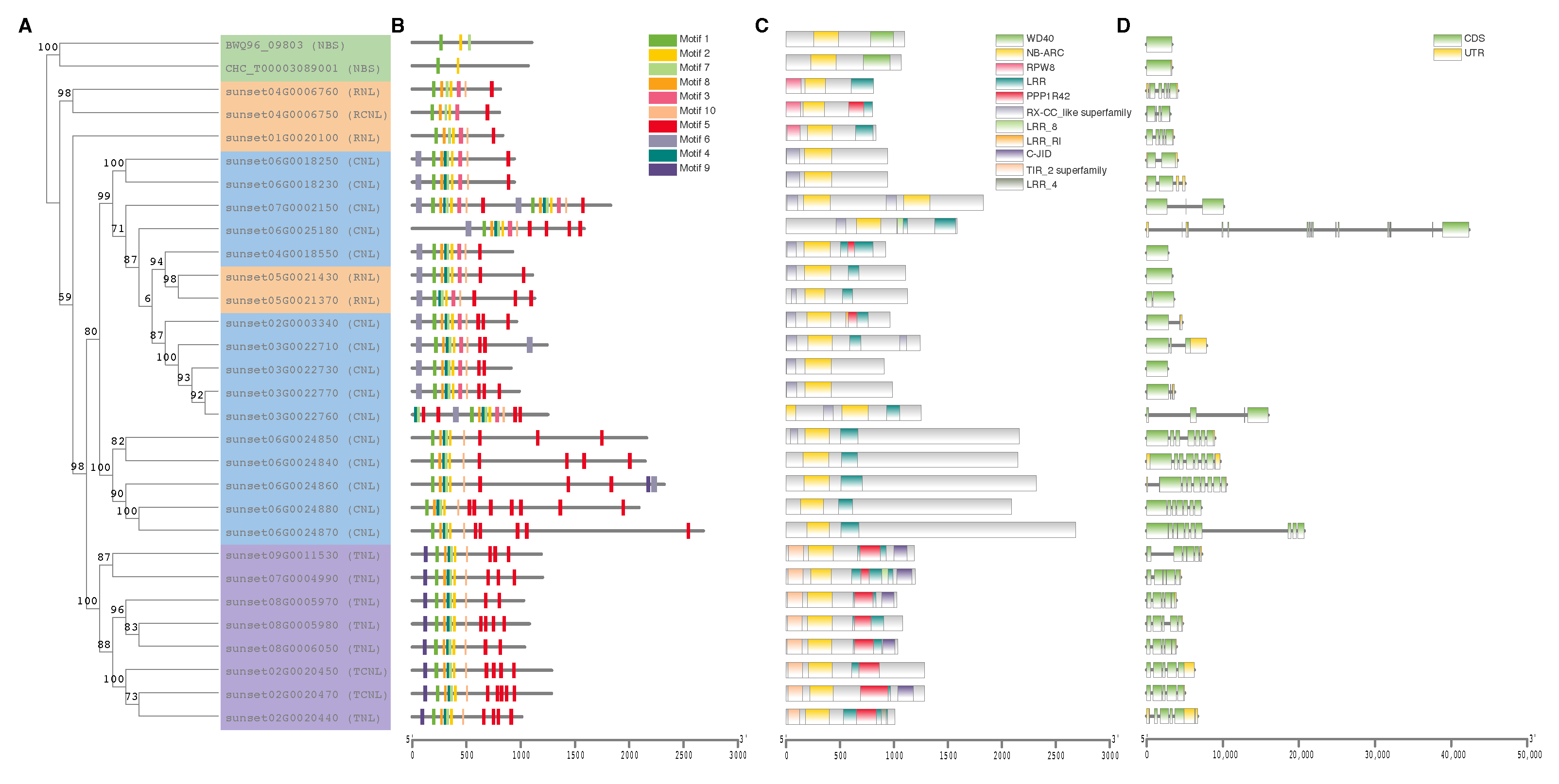 Agronomy 13 00970 g004 Agronomy 13 00970 g004