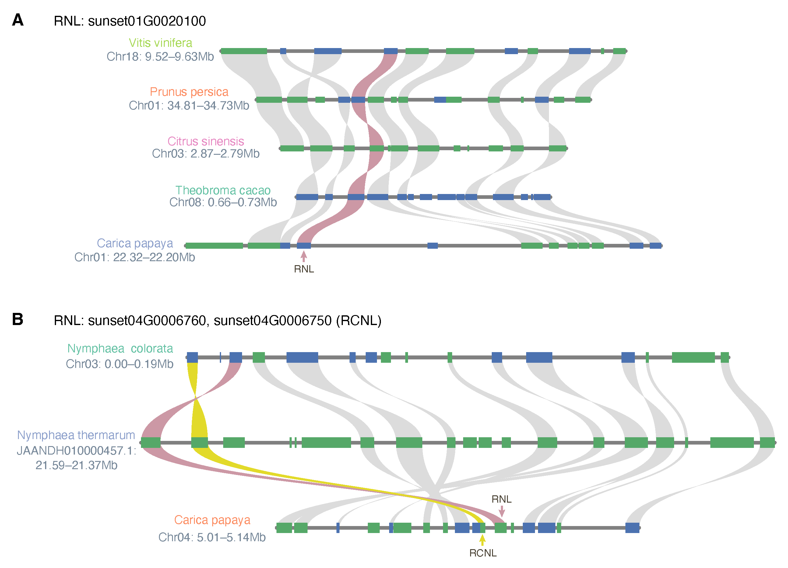 Agronomy 13 00970 g005 Agronomy 13 00970 g005