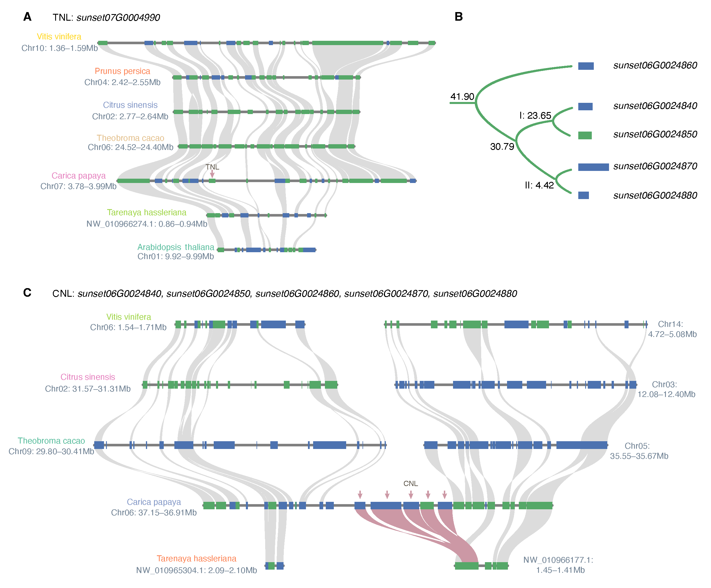 Agronomy 13 00970 g006 Agronomy 13 00970 g006