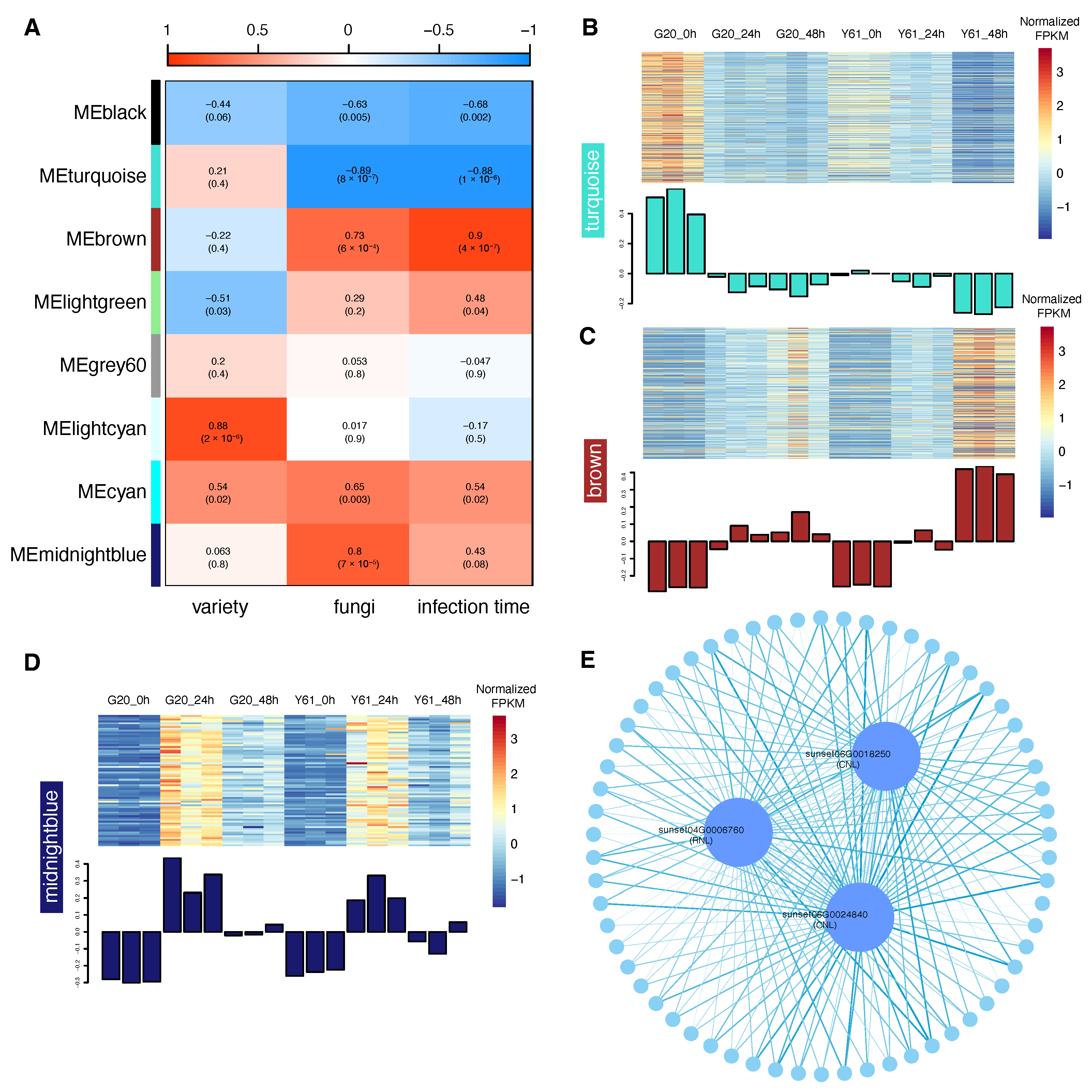 Agronomy 13 00970 g009 Agronomy 13 00970 g009