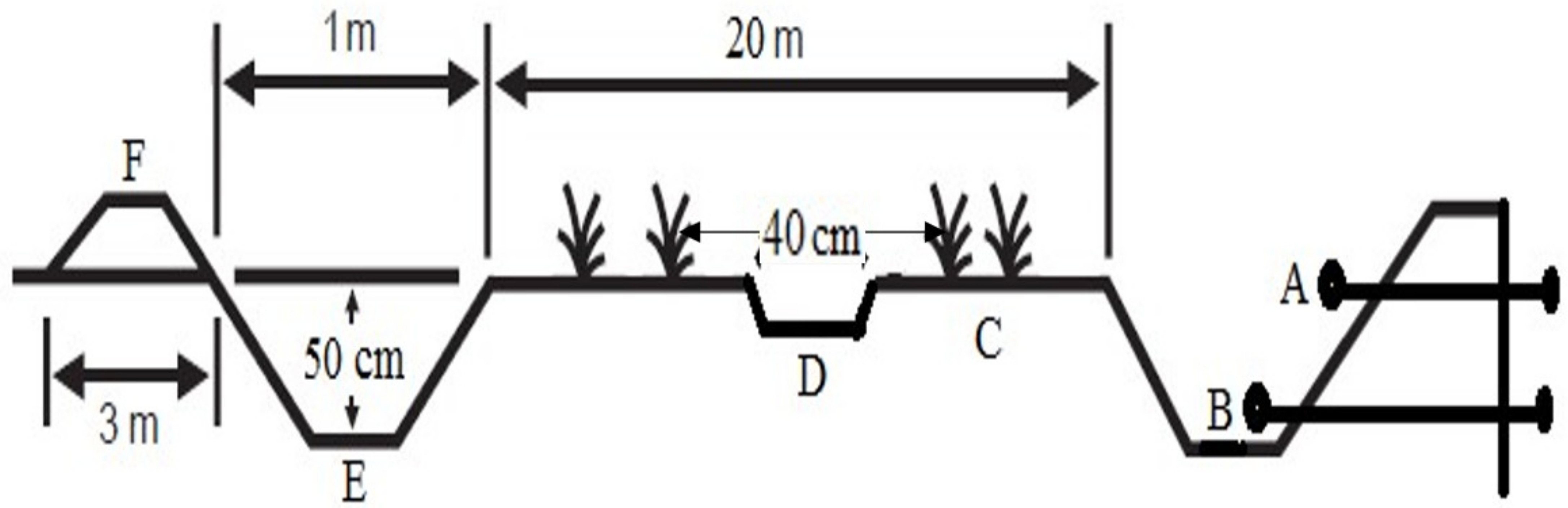Agronomy 13 00978 g001
