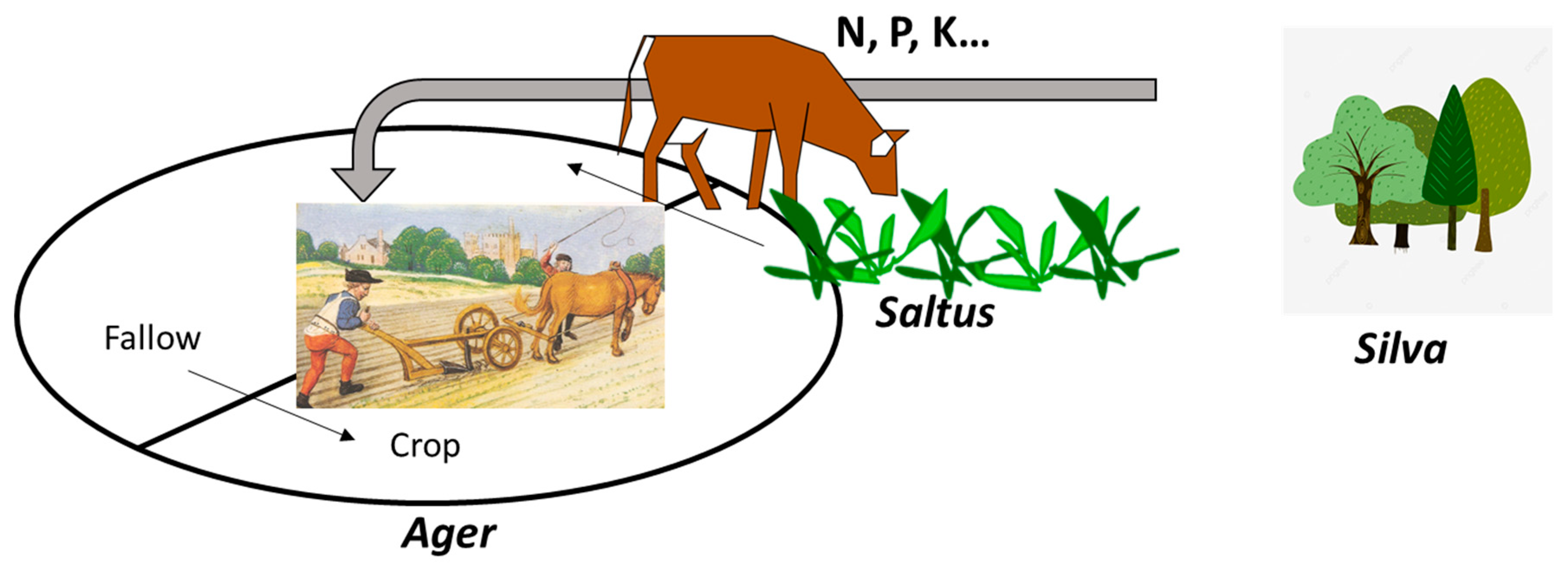 Agronomy 13 00982 g002 Agronomy 13 00982 g002