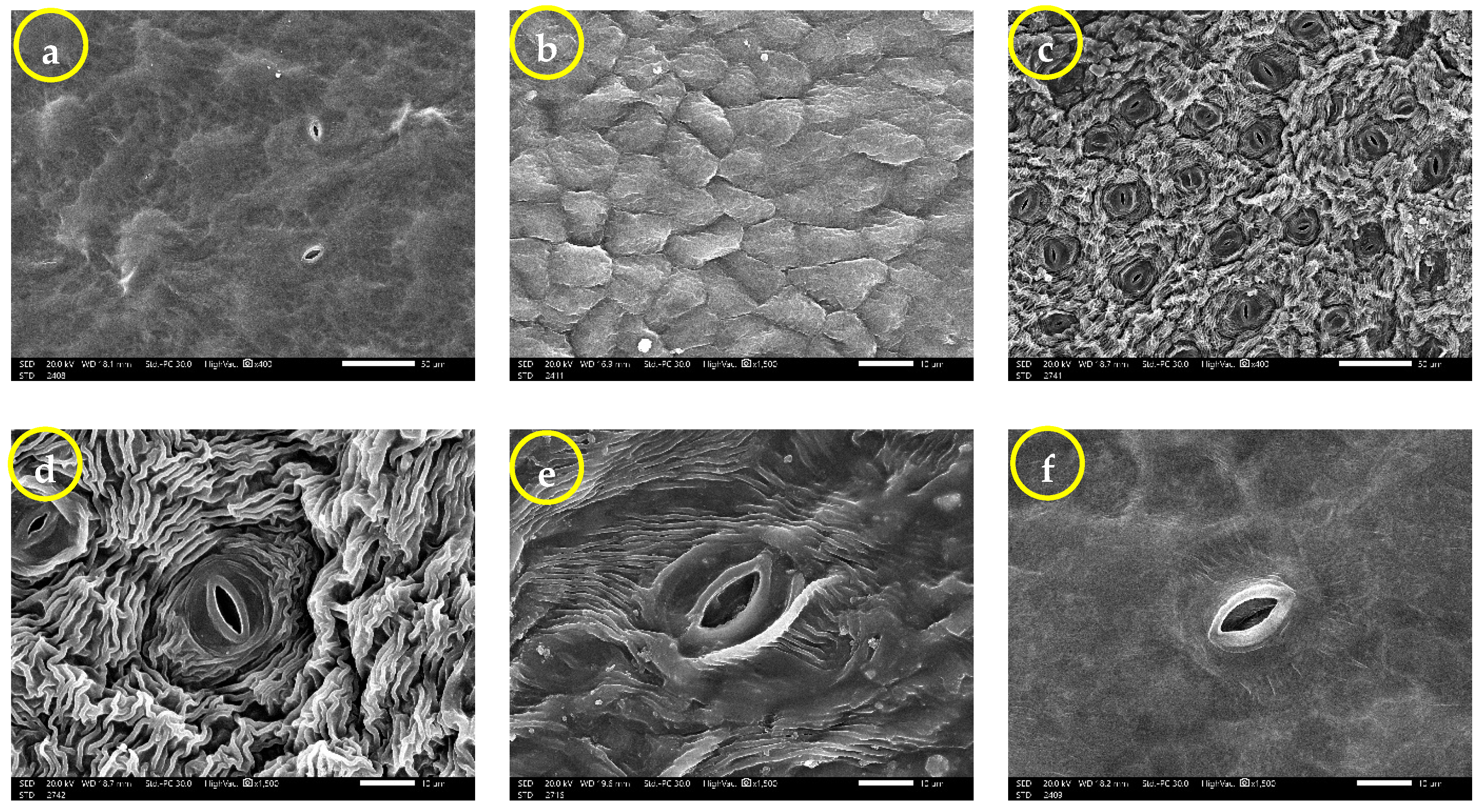 Agronomy 13 00985 g005a