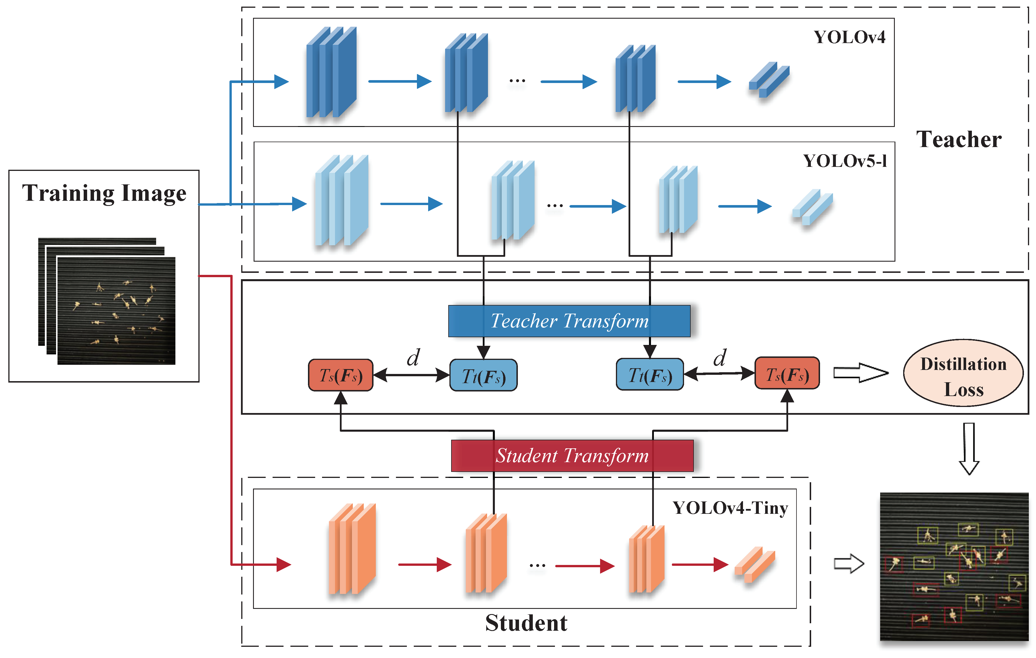 Agronomy 13 00987 g003