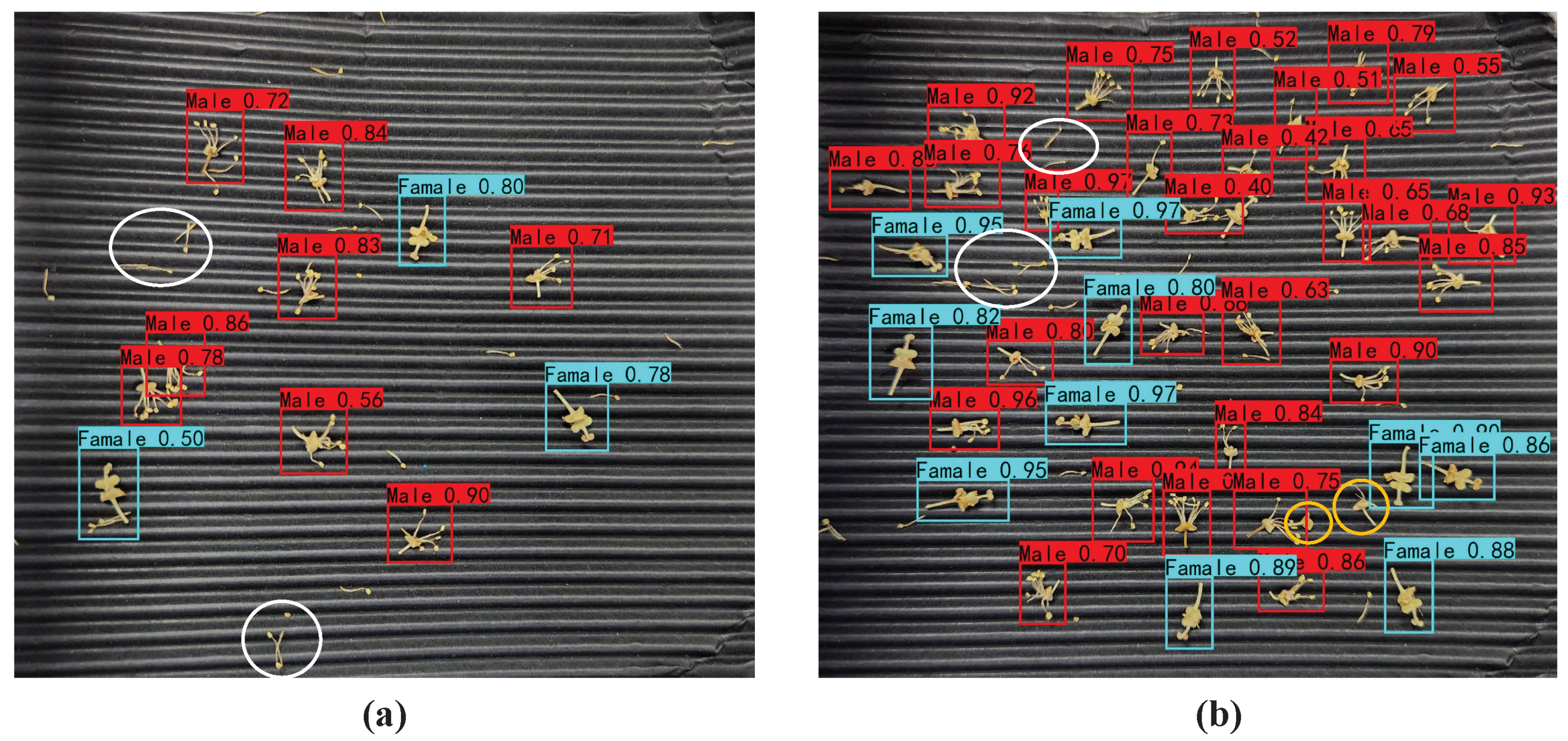 Agronomy 13 00987 g010