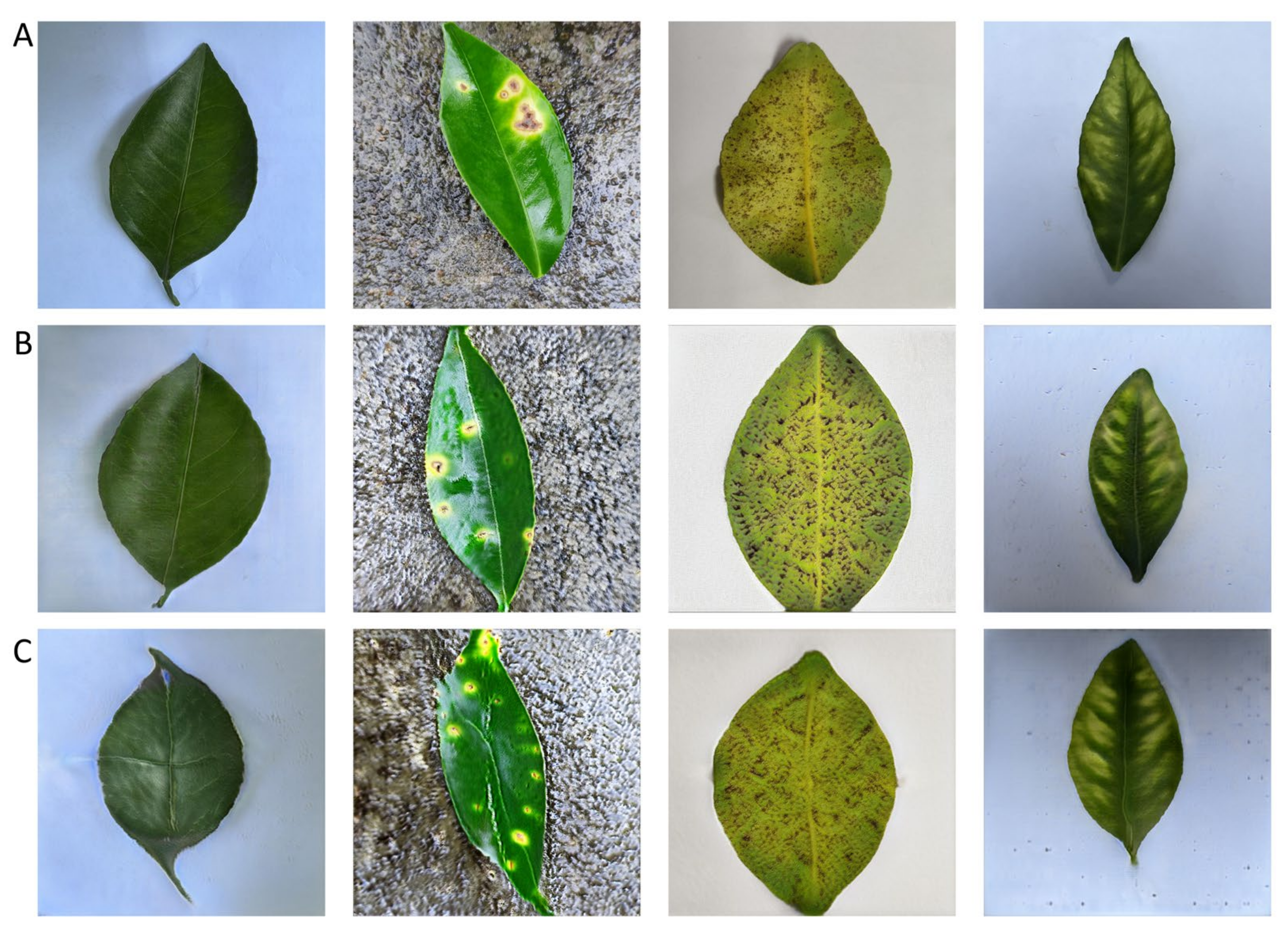 Agronomy 13 00988 g009 Agronomy 13 00988 g009