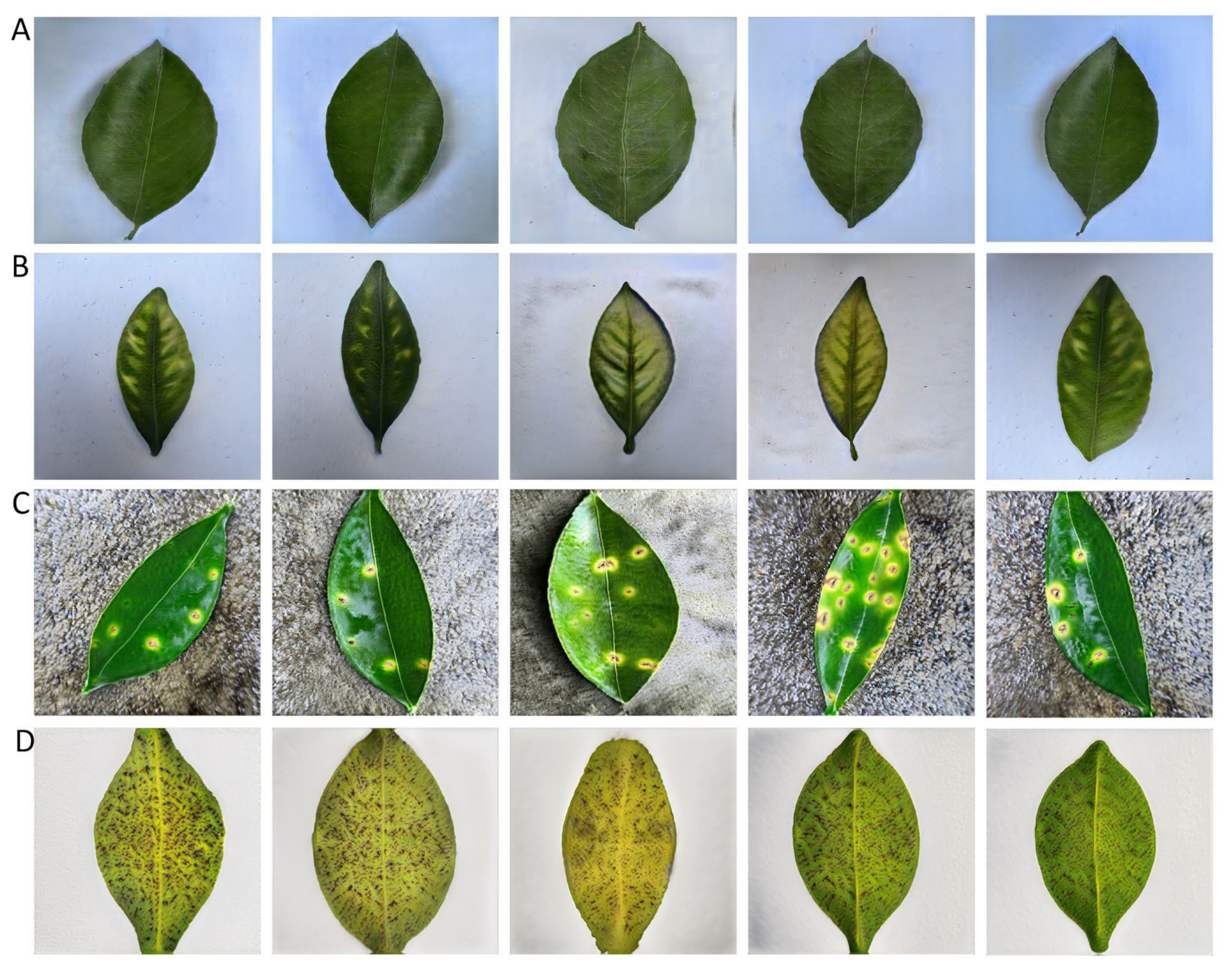 Agronomy 13 00988 g010 Agronomy 13 00988 g010