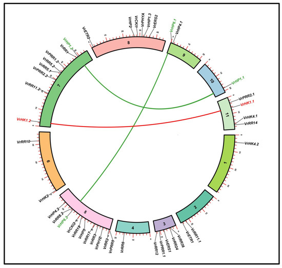 Comparative Omics-Based Identification and Expression Analysis of a  Two-Component System in Vigna radiata in Drought Stress