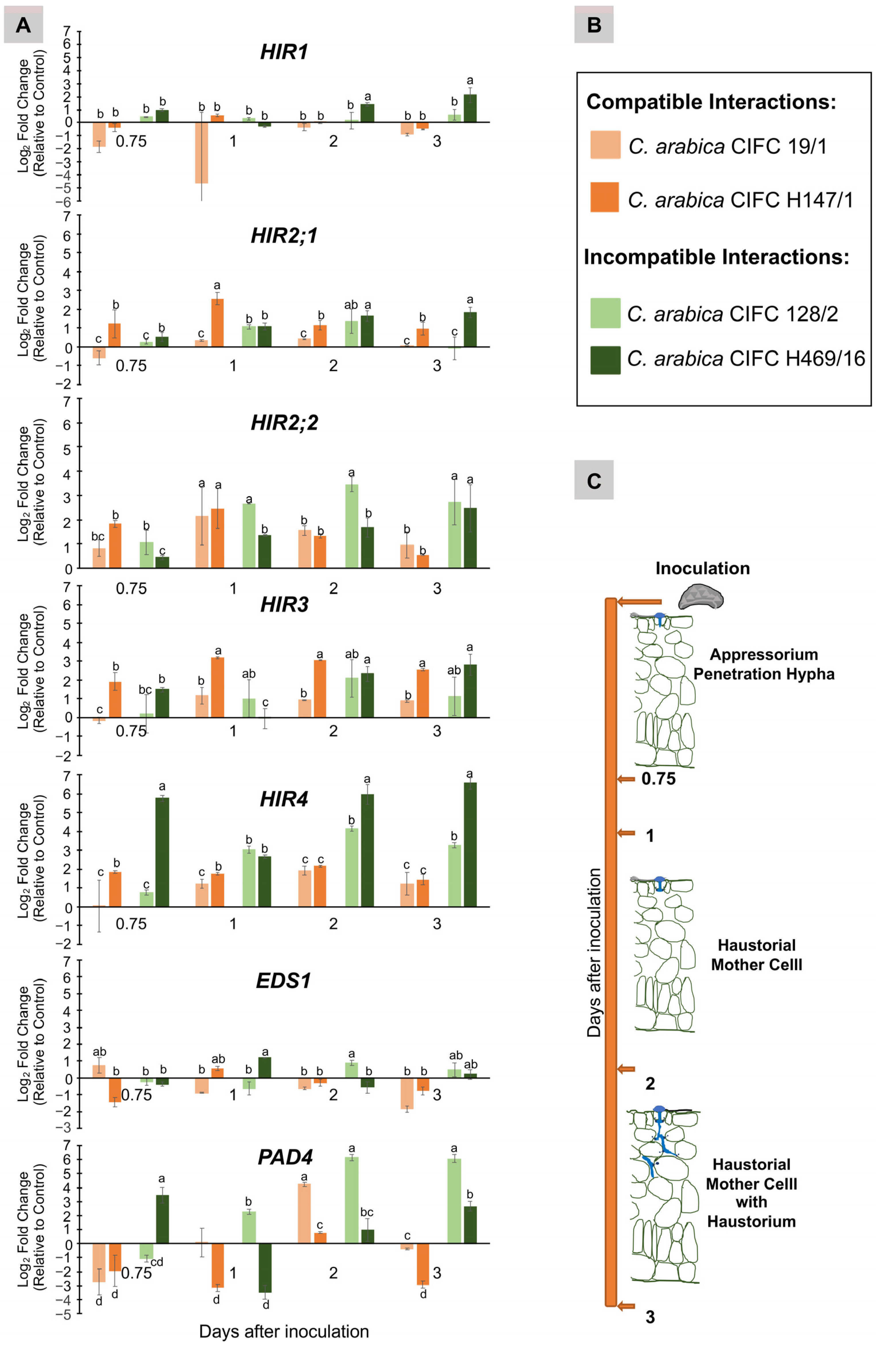 Agronomy 13 00992 g002