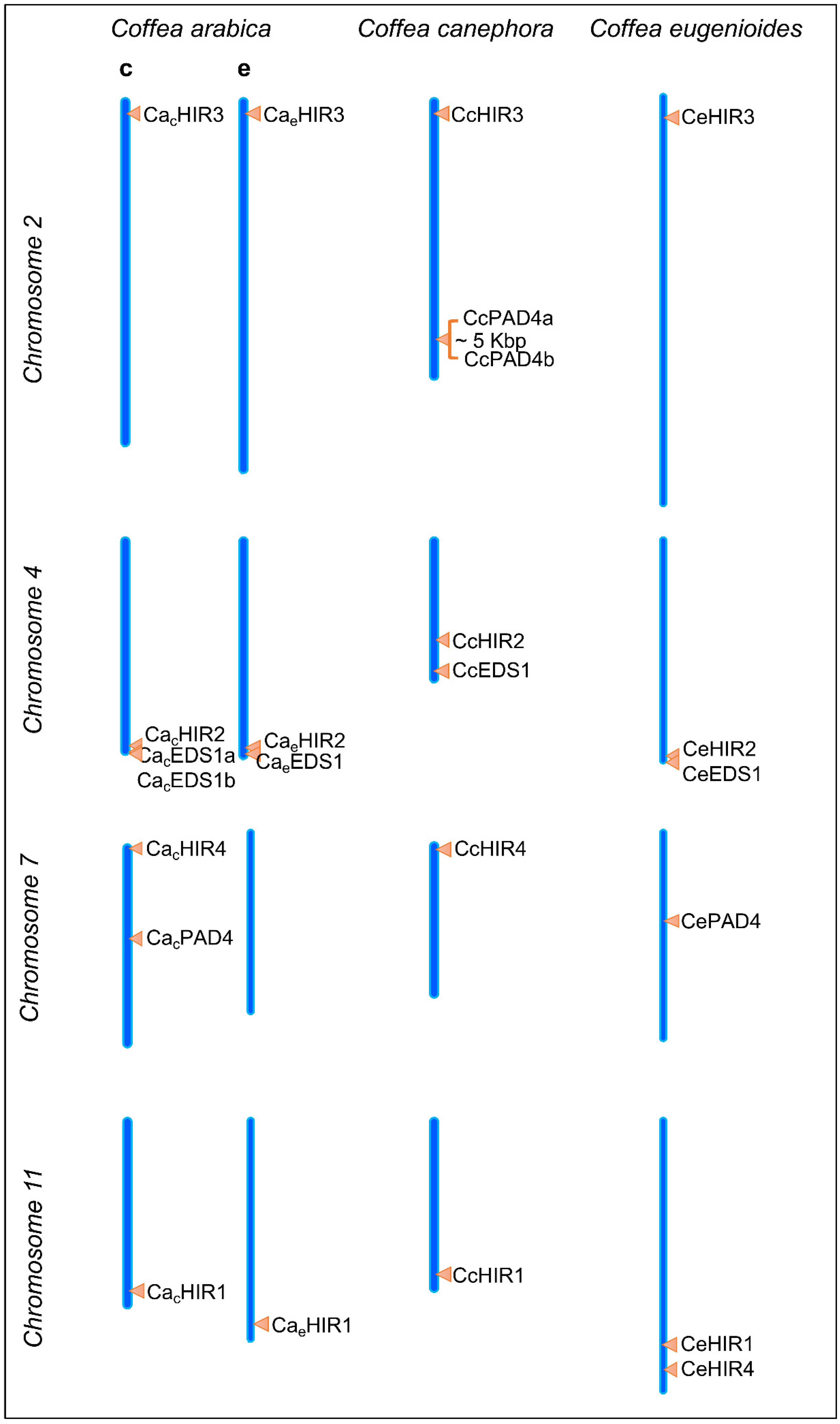 Agronomy 13 00992 g003