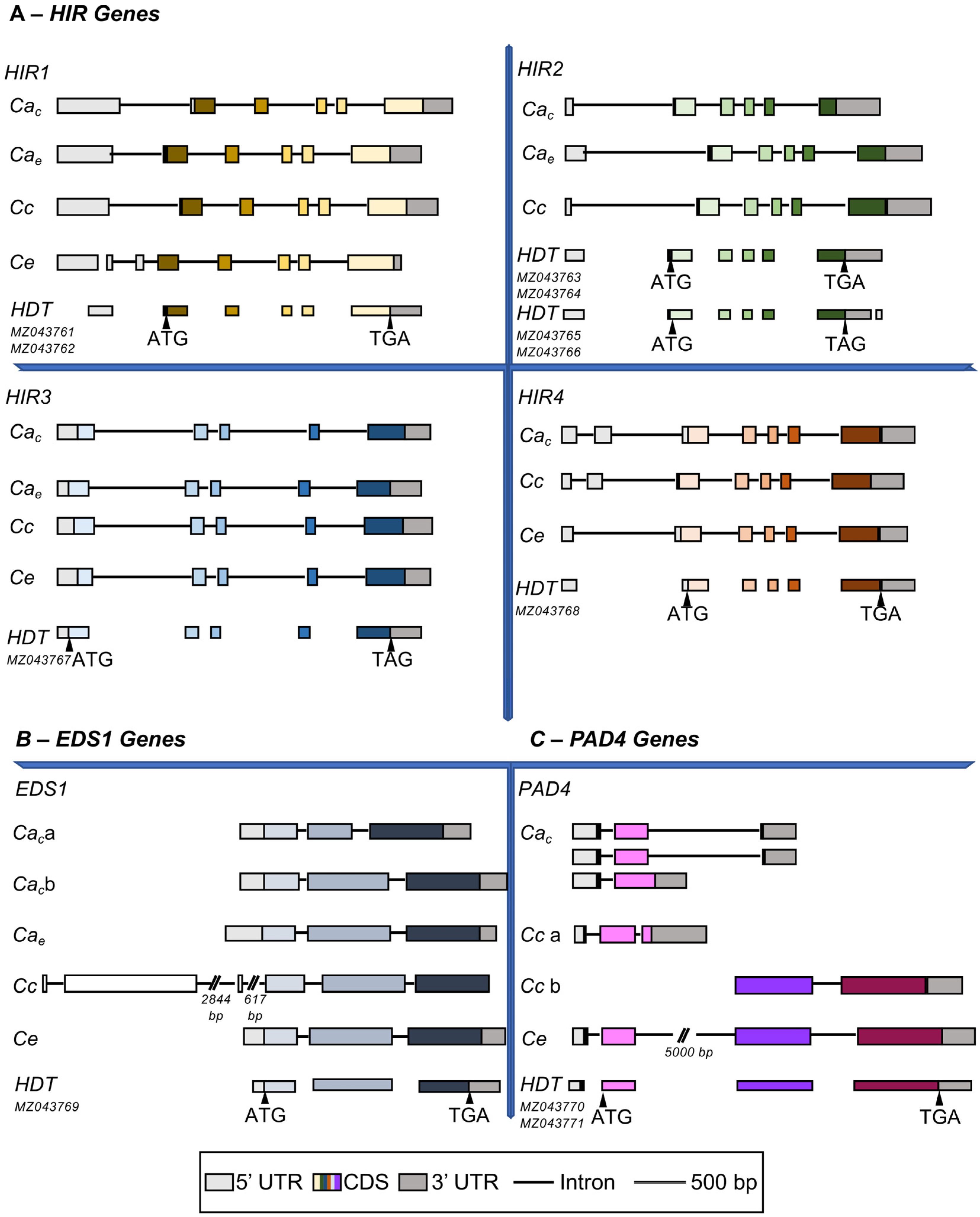 Agronomy 13 00992 g004