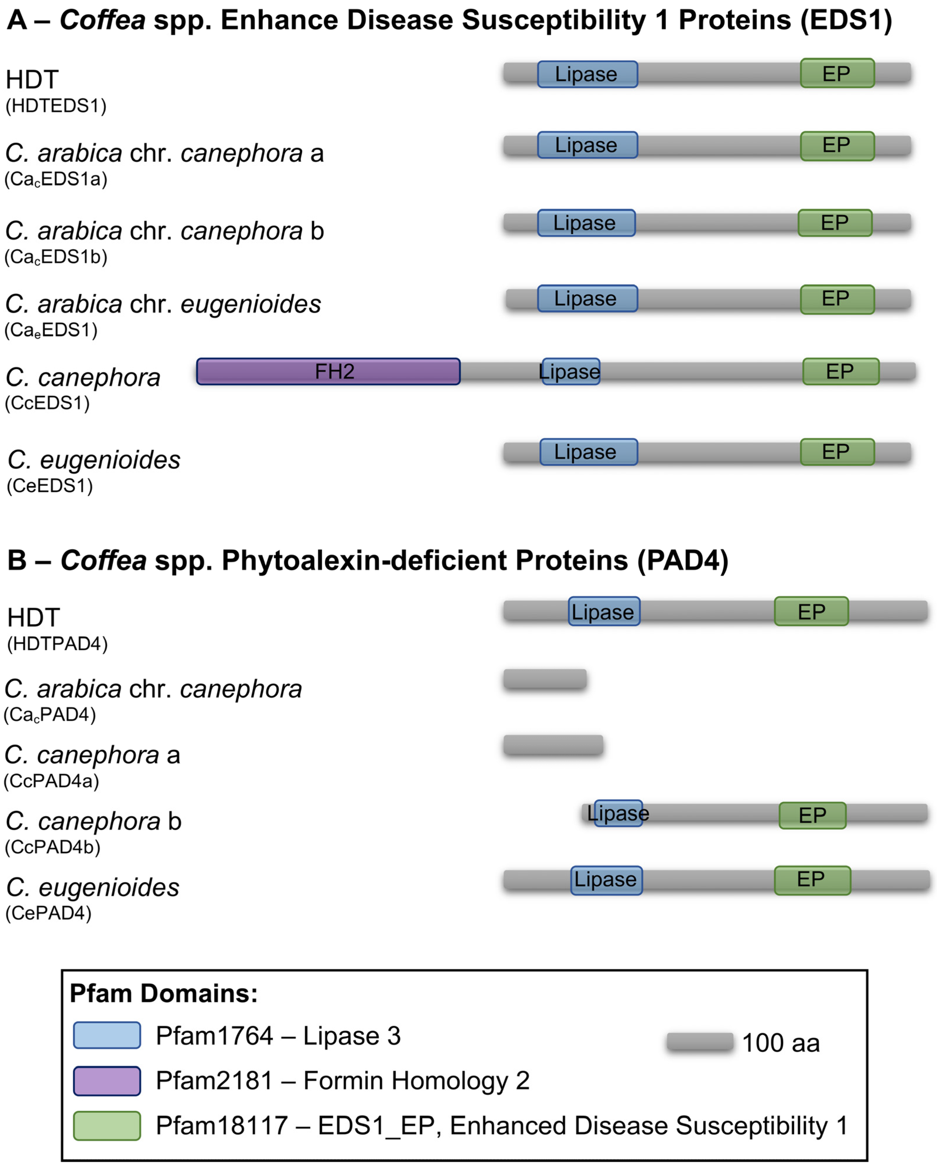 Agronomy 13 00992 g005