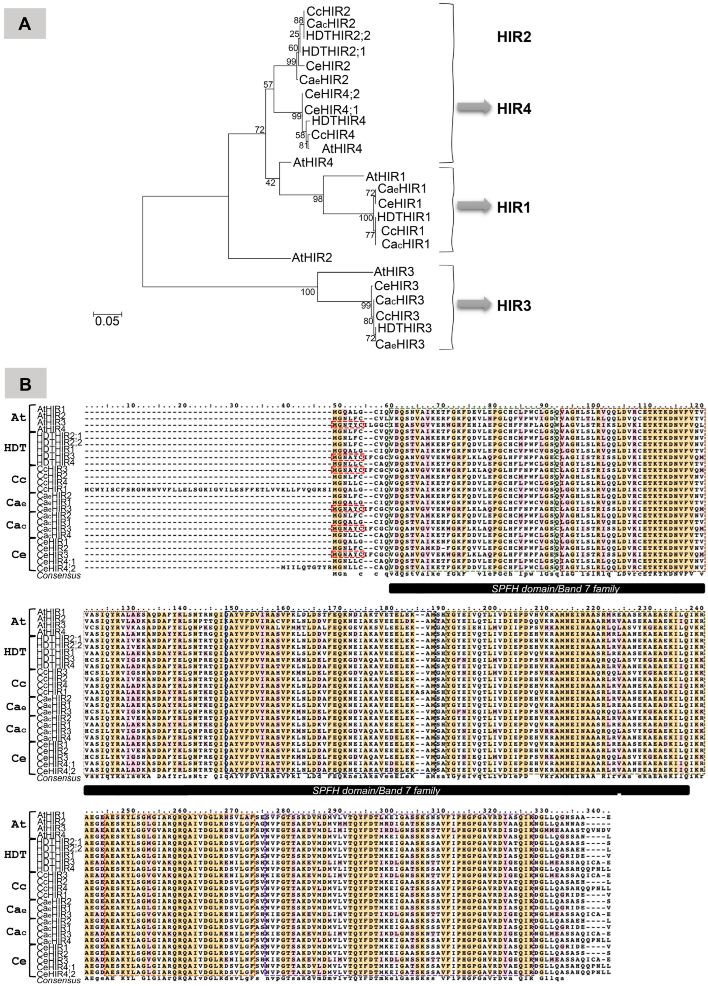 Agronomy 13 00992 g006