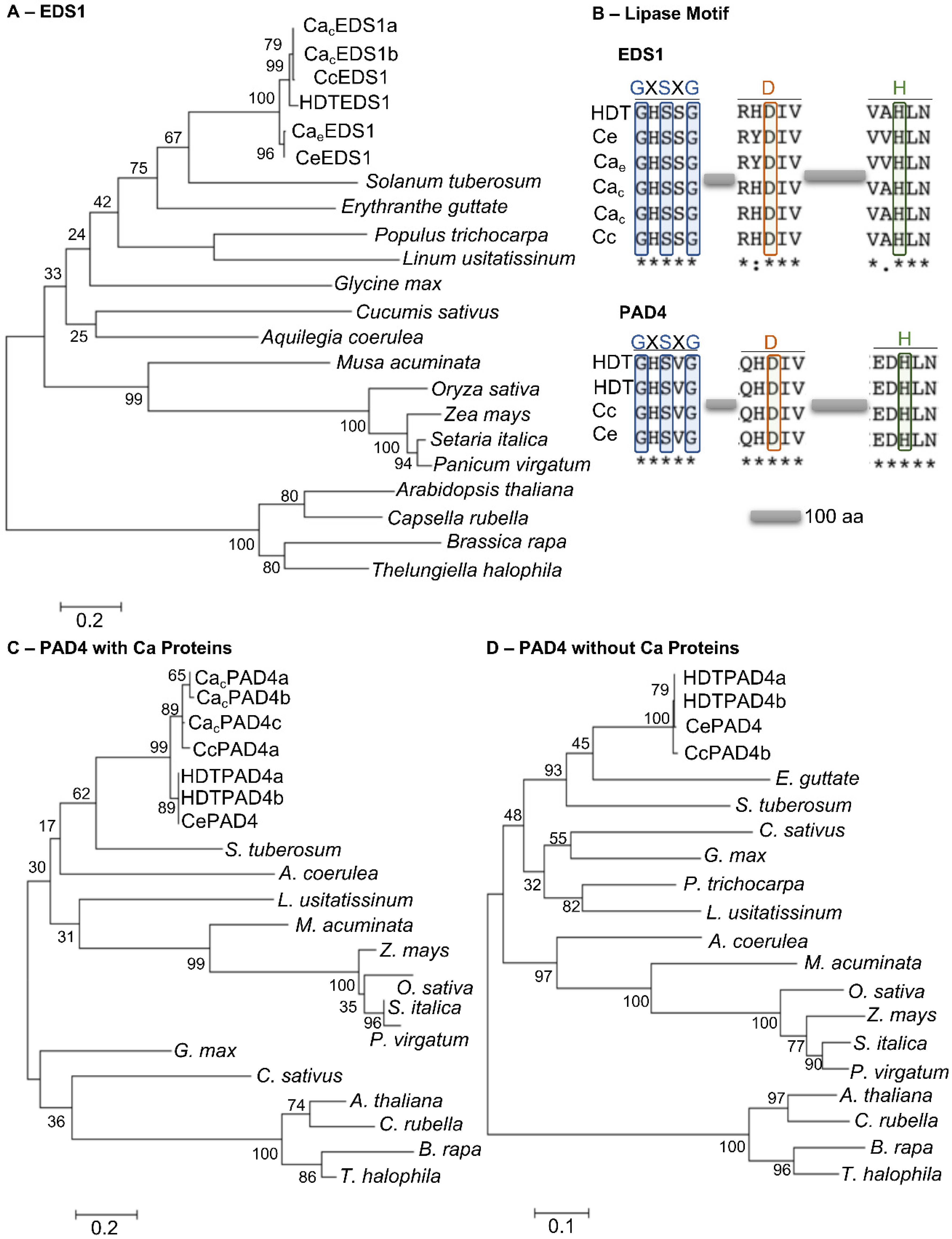 Agronomy 13 00992 g007