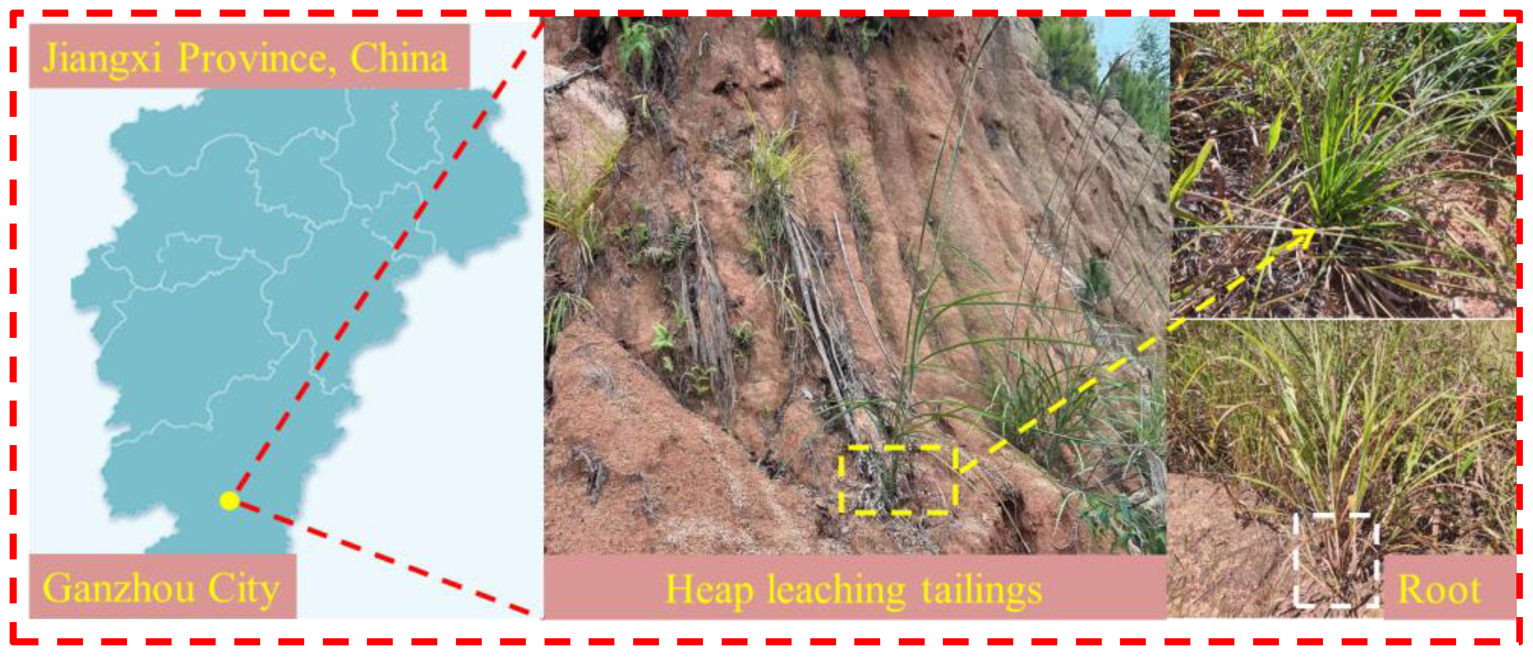 Agronomy 13 00993 g001 Agronomy 13 00993 g001