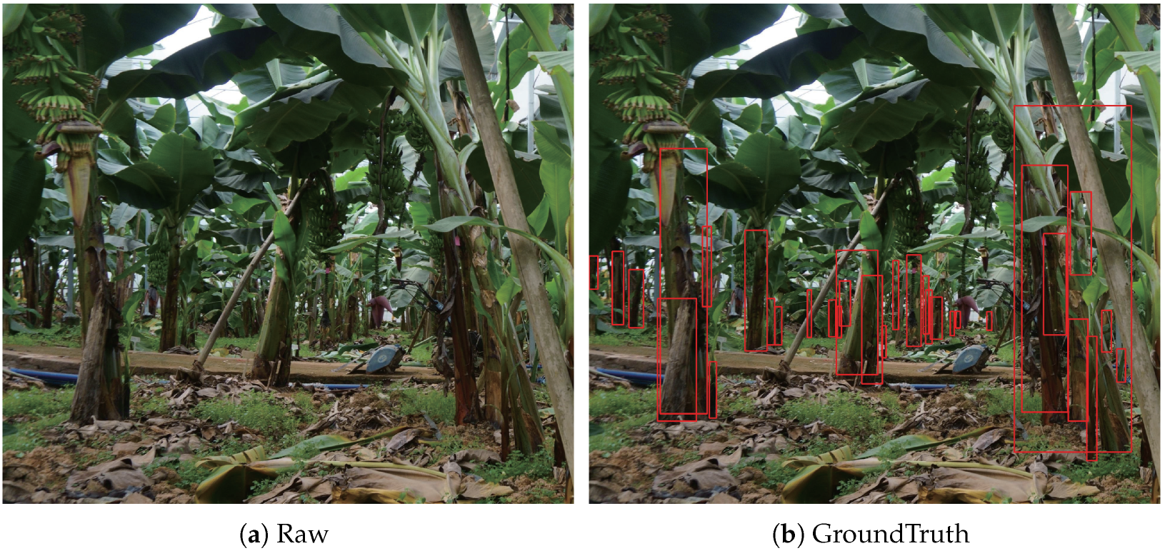 Agronomy 13 00999 g001