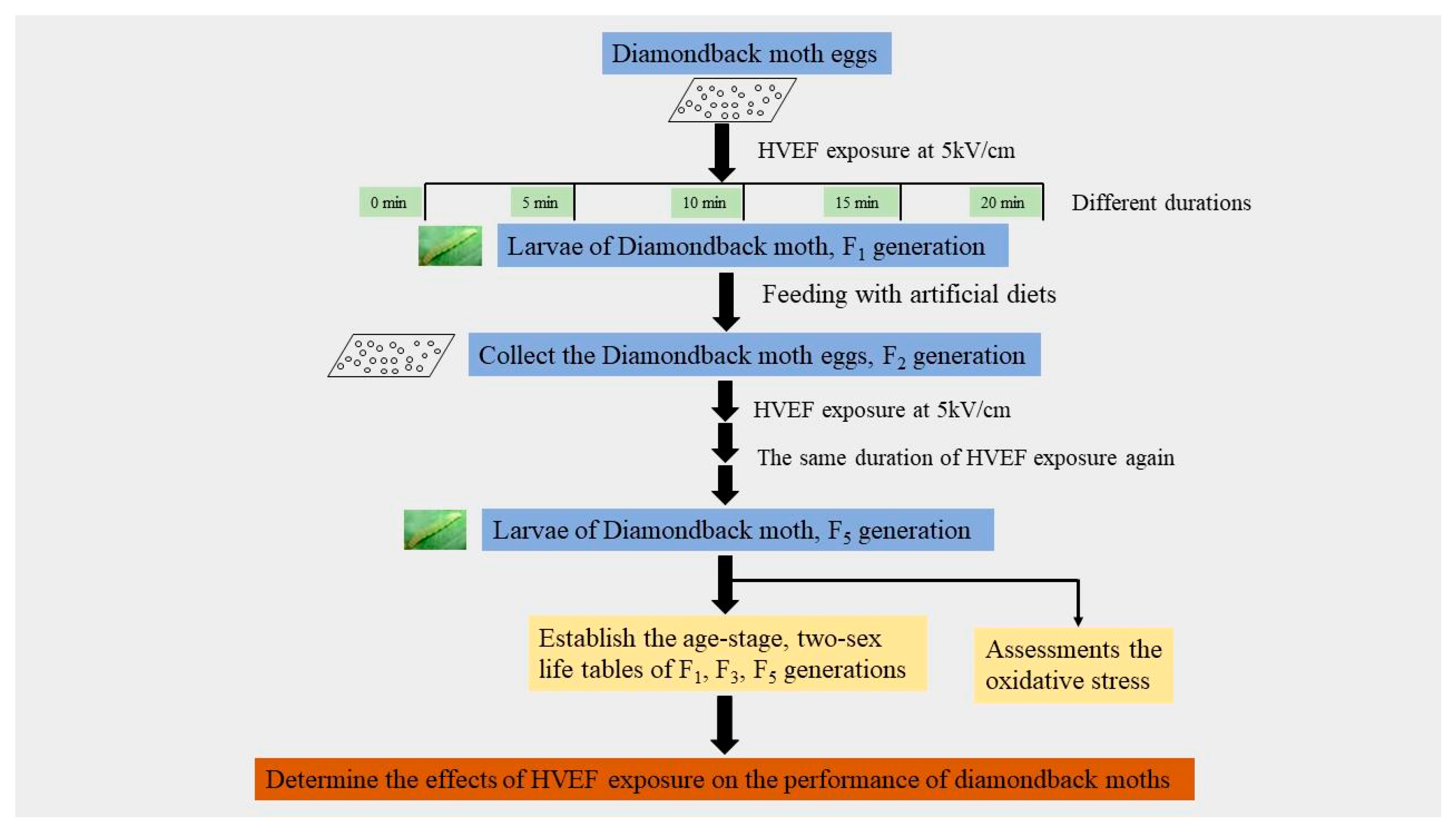 Agronomy 13 01008 g001