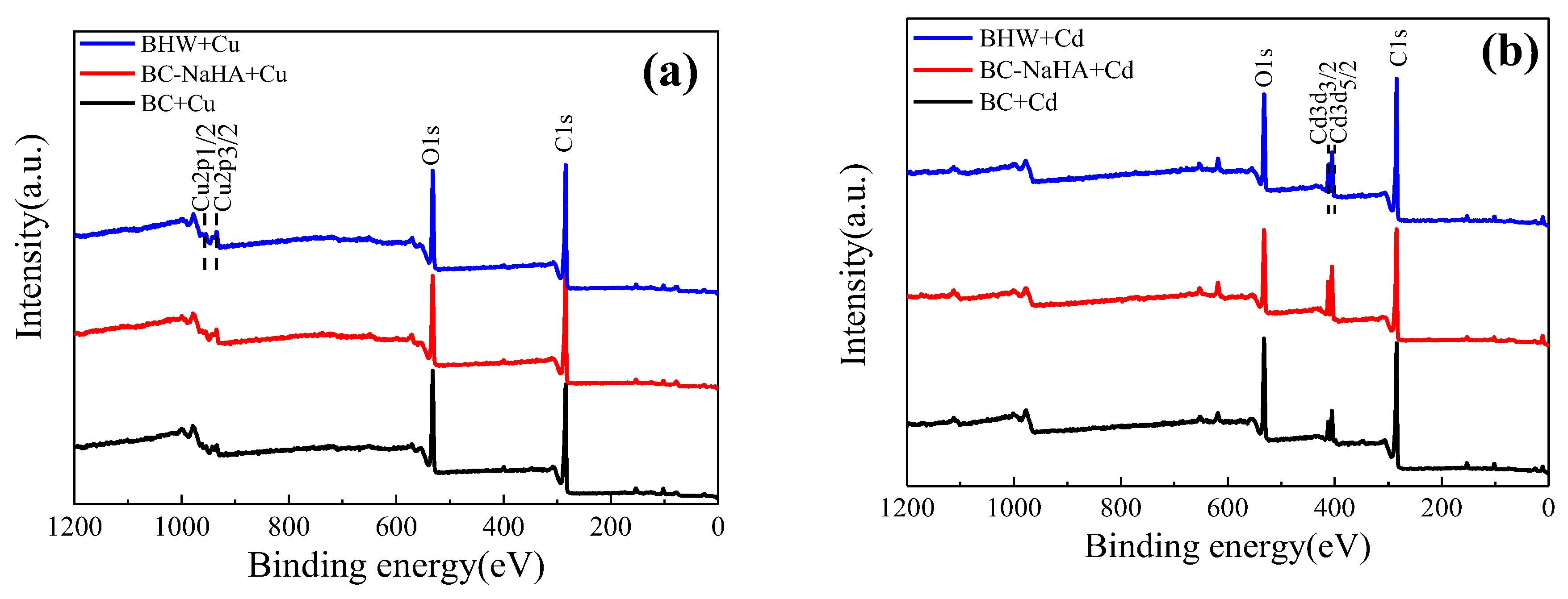 Agronomy 13 01009 g007