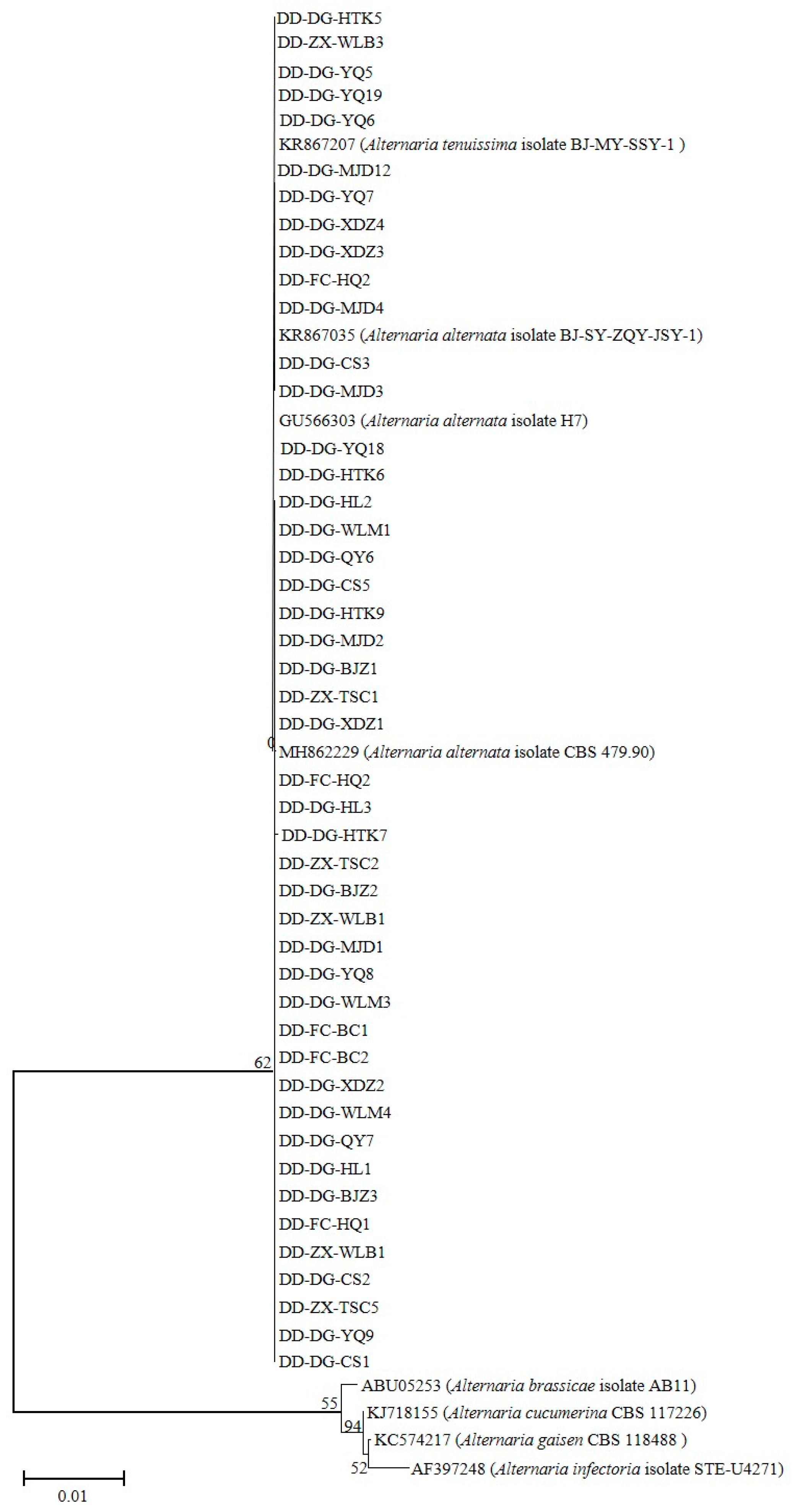 Agronomy 13 01014 g002 Agronomy 13 01014 g002