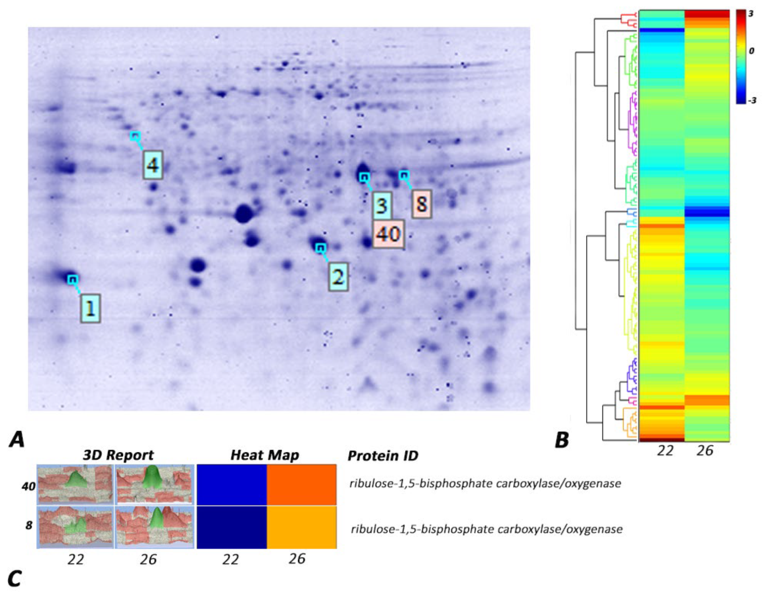Agronomy 13 01022 g004 Agronomy 13 01022 g004