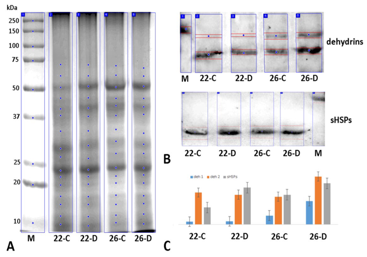 Agronomy 13 01022 g005 Agronomy 13 01022 g005