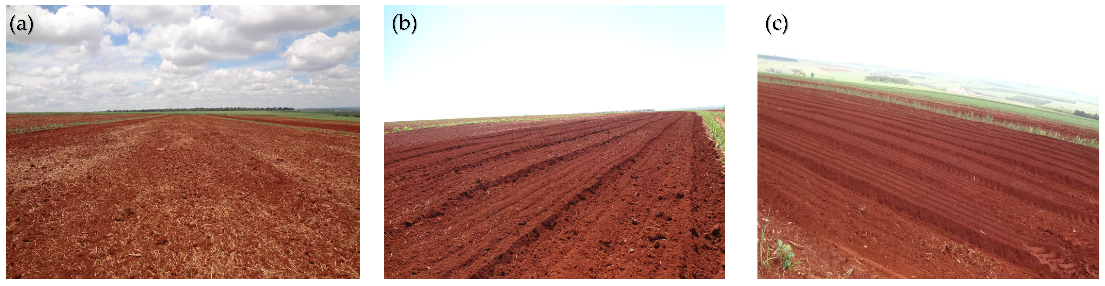 Agronomy 13 01024 g001