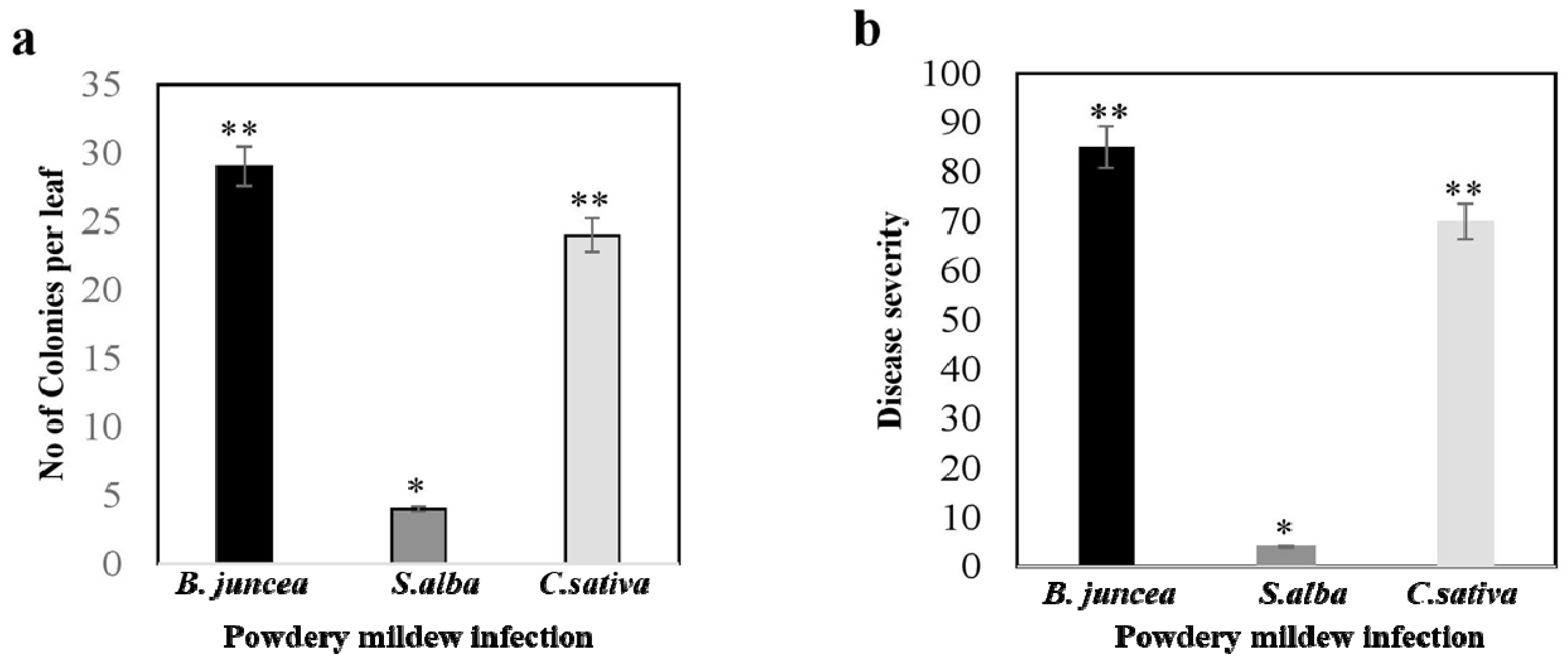 Agronomy 13 01033 g002
