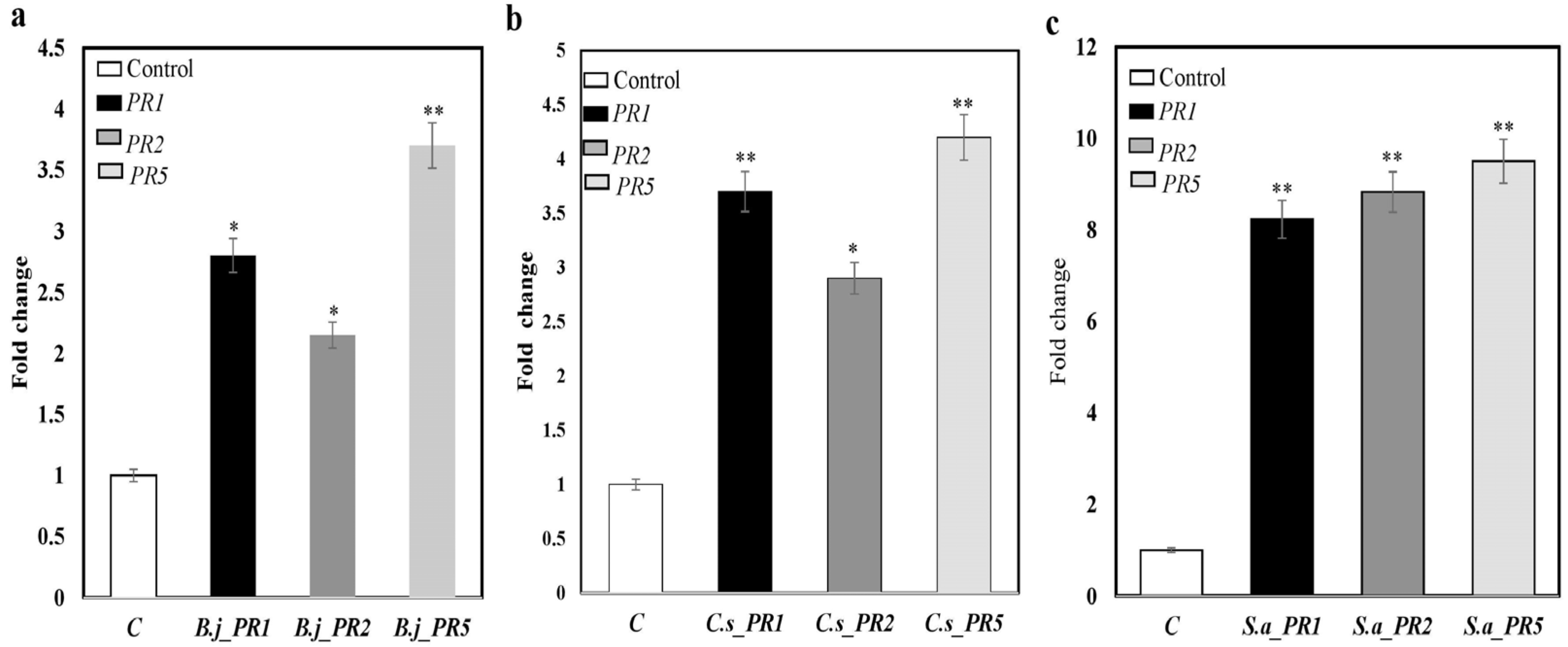 Agronomy 13 01033 g004
