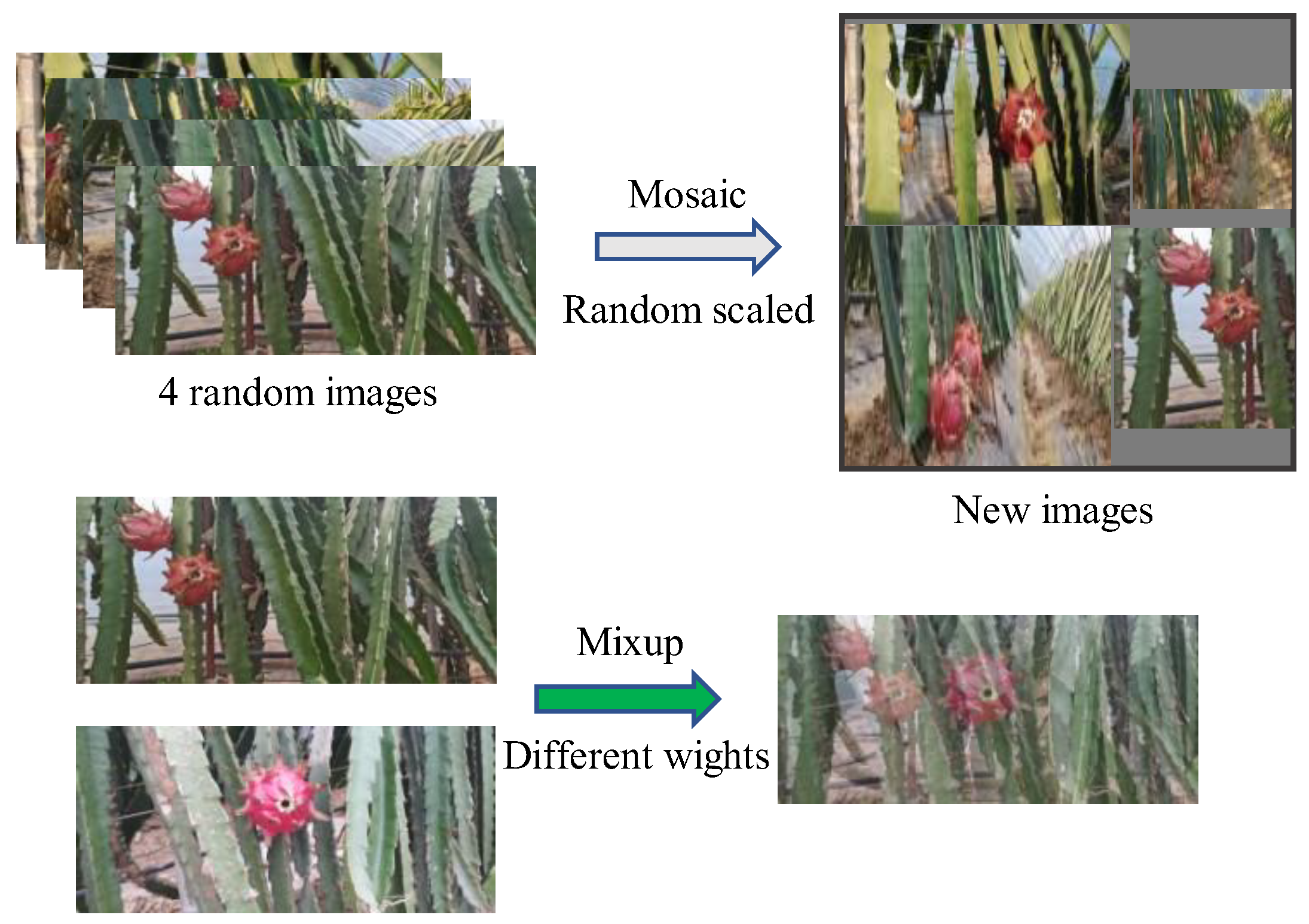 Agronomy 13 01042 g001 550