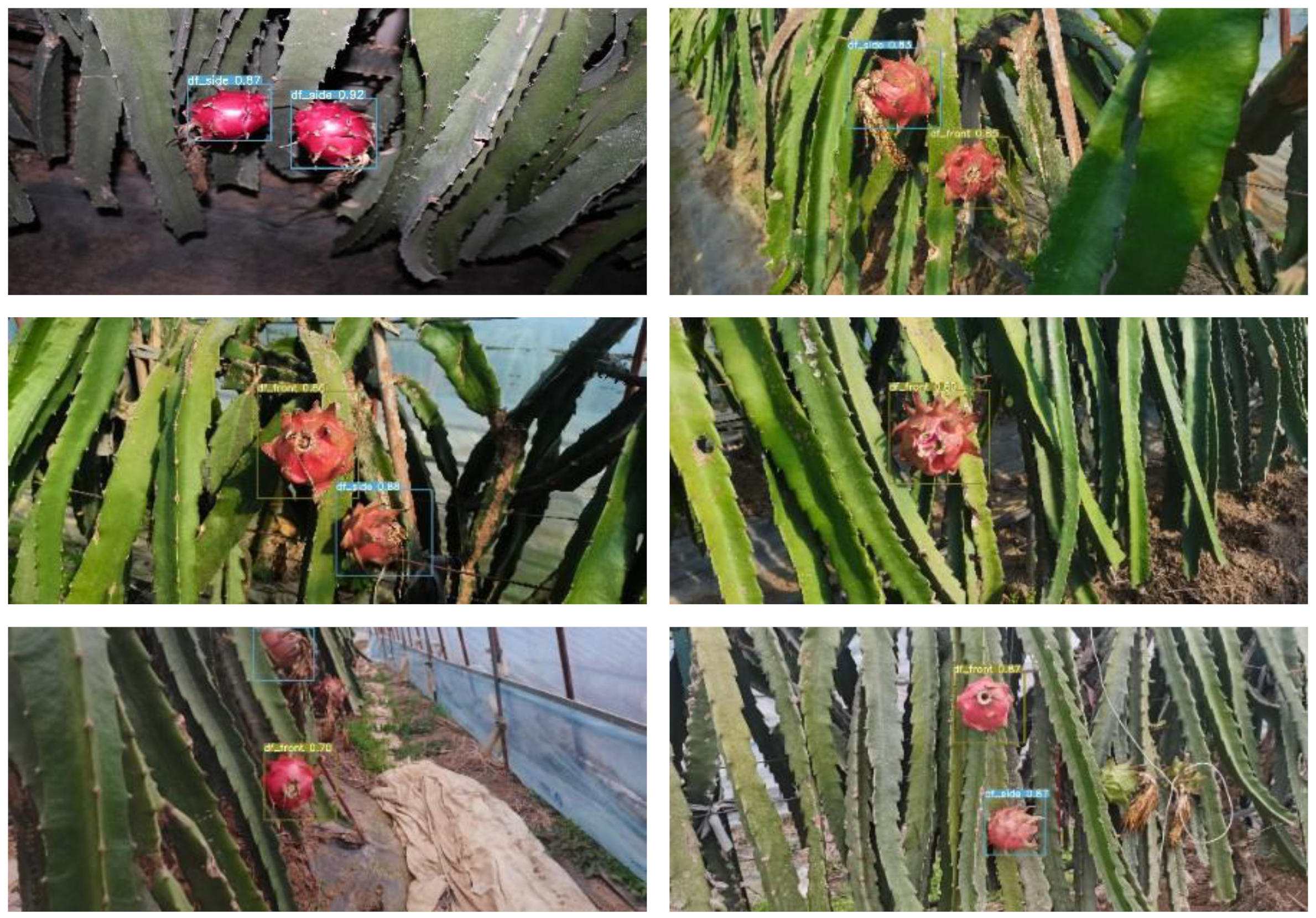 Agronomy 13 01042 g008 550