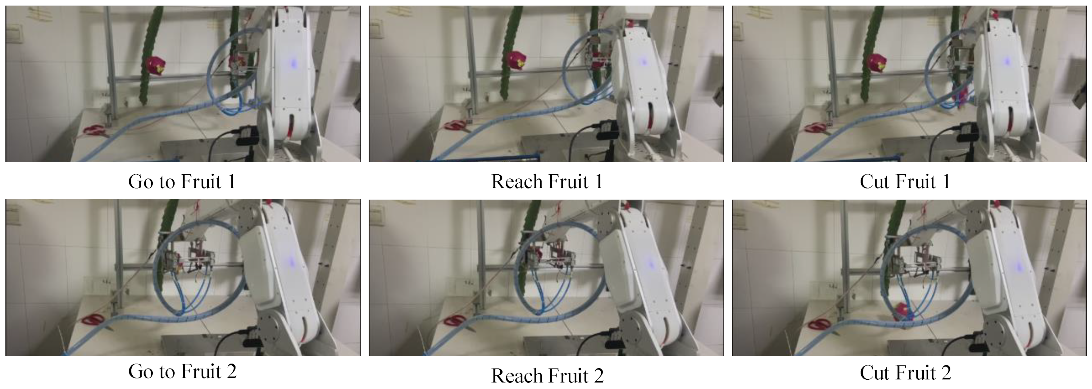 Agronomy 13 01042 g011 550