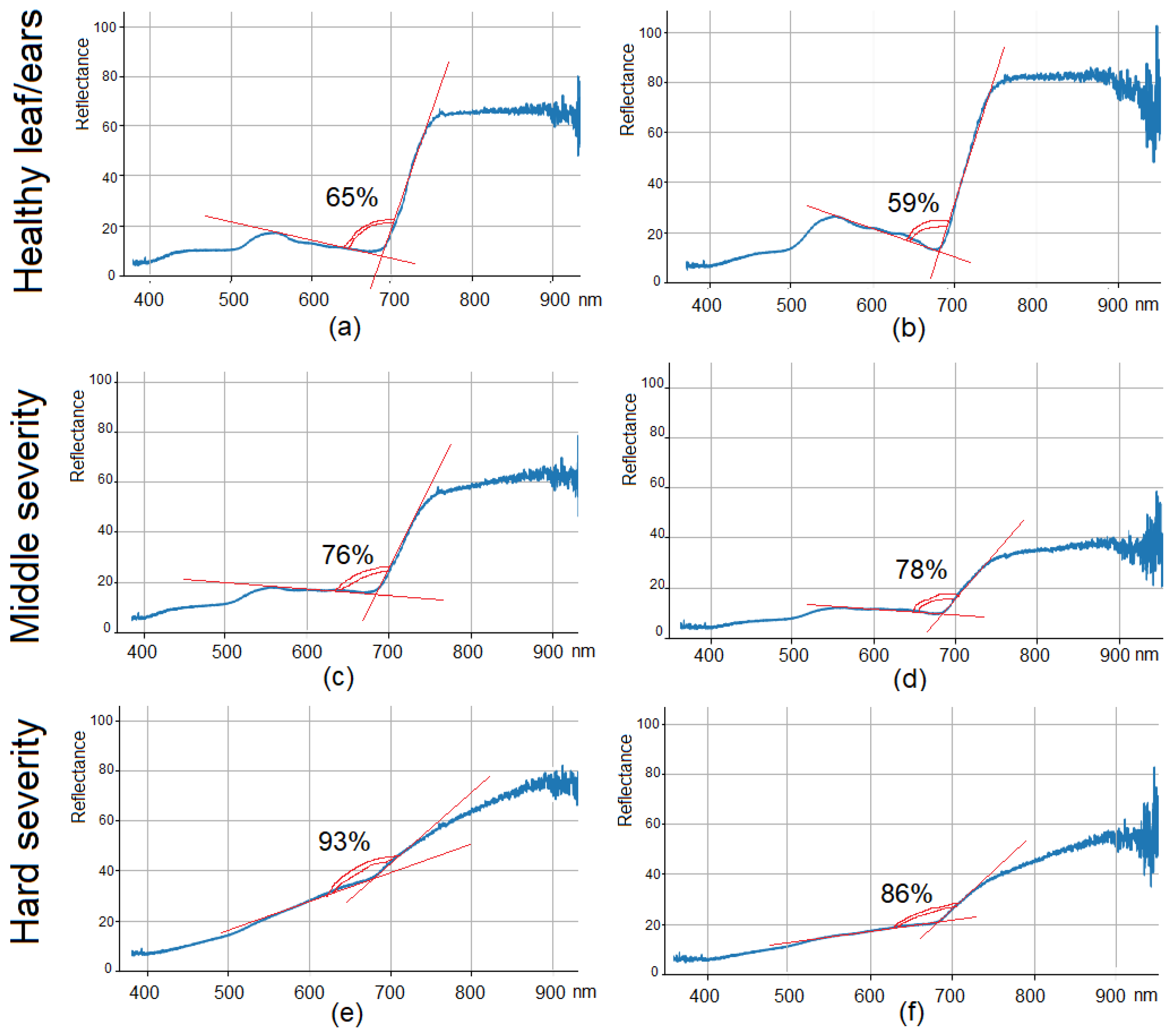 Agronomy 13 01045 g007 Agronomy 13 01045 g007