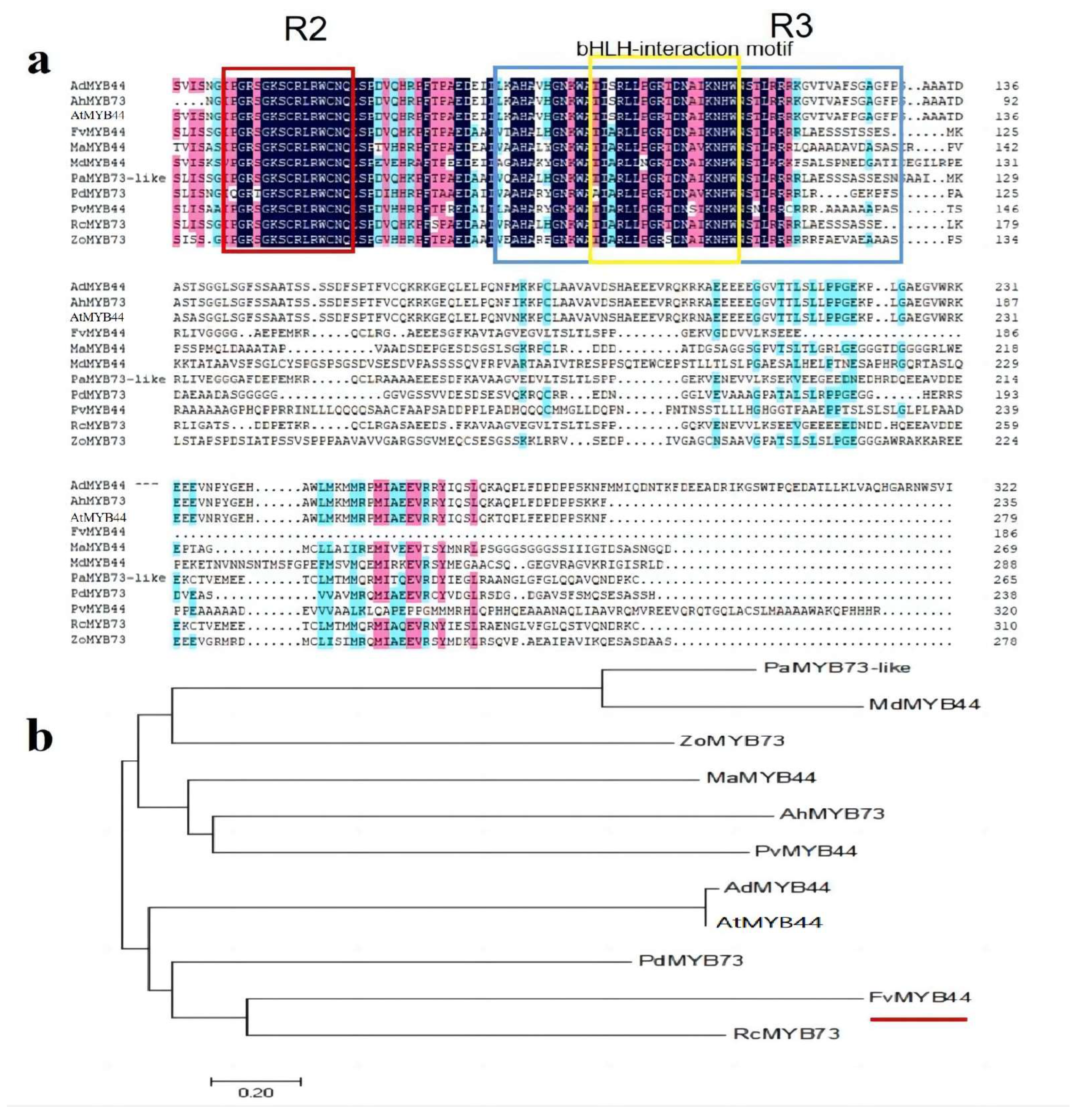 Agronomy 13 01051 g001