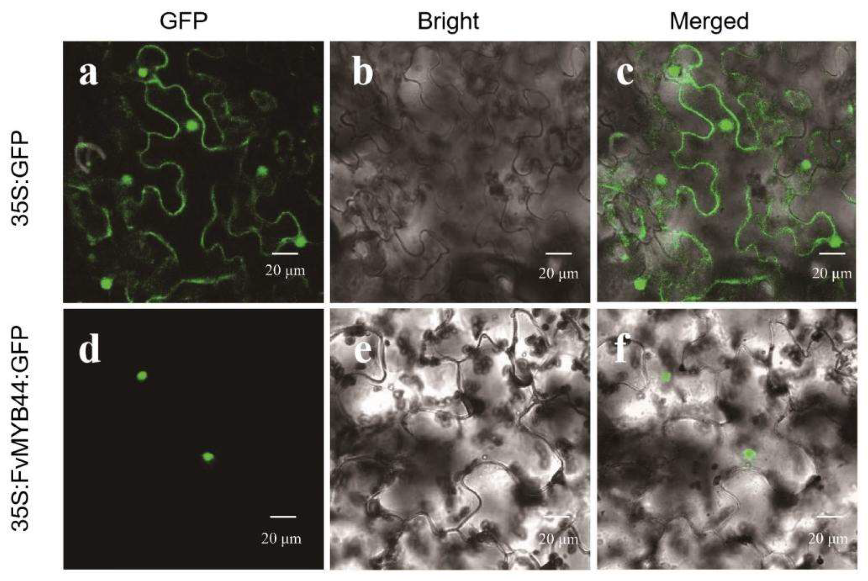 Agronomy 13 01051 g003