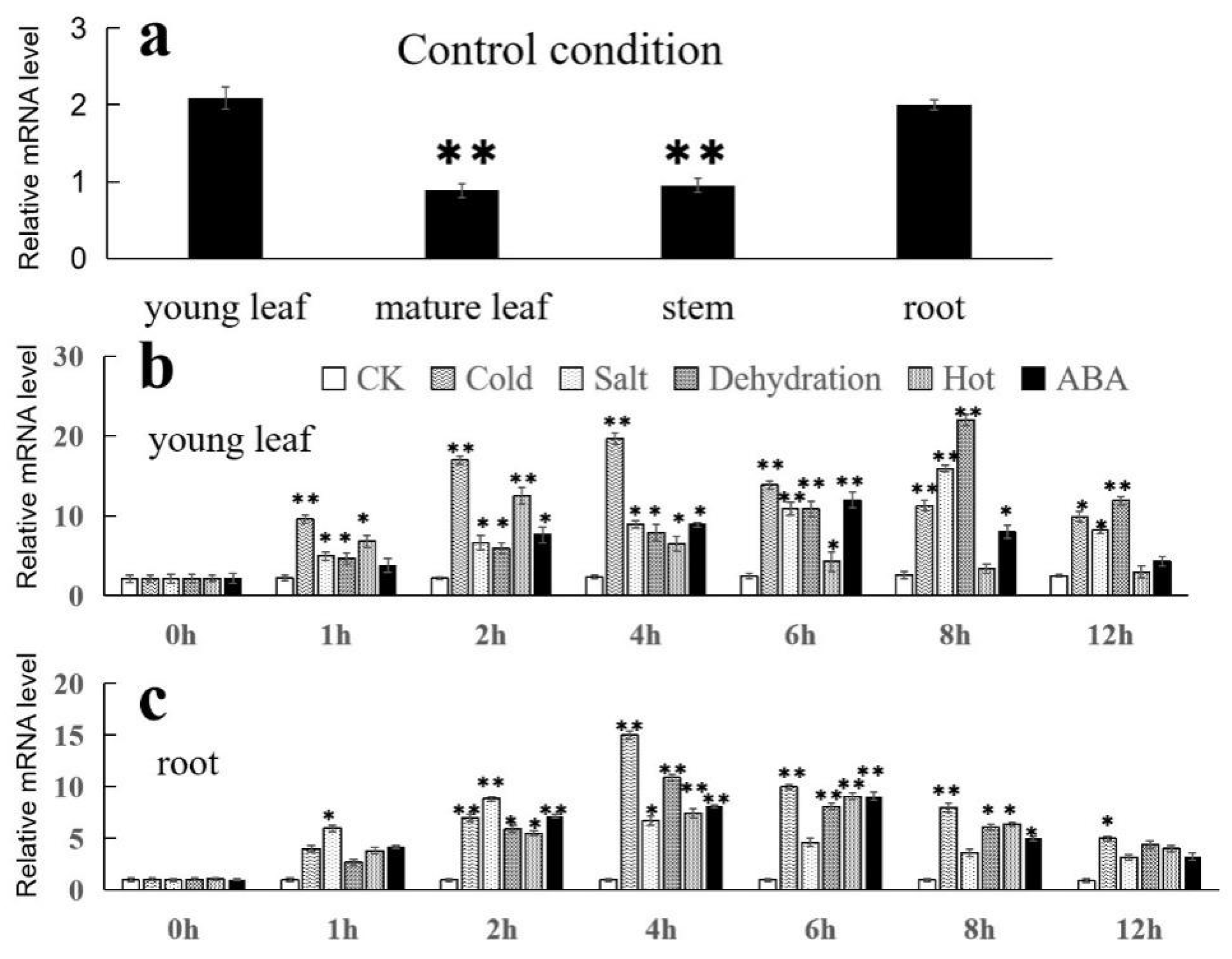 Agronomy 13 01051 g004