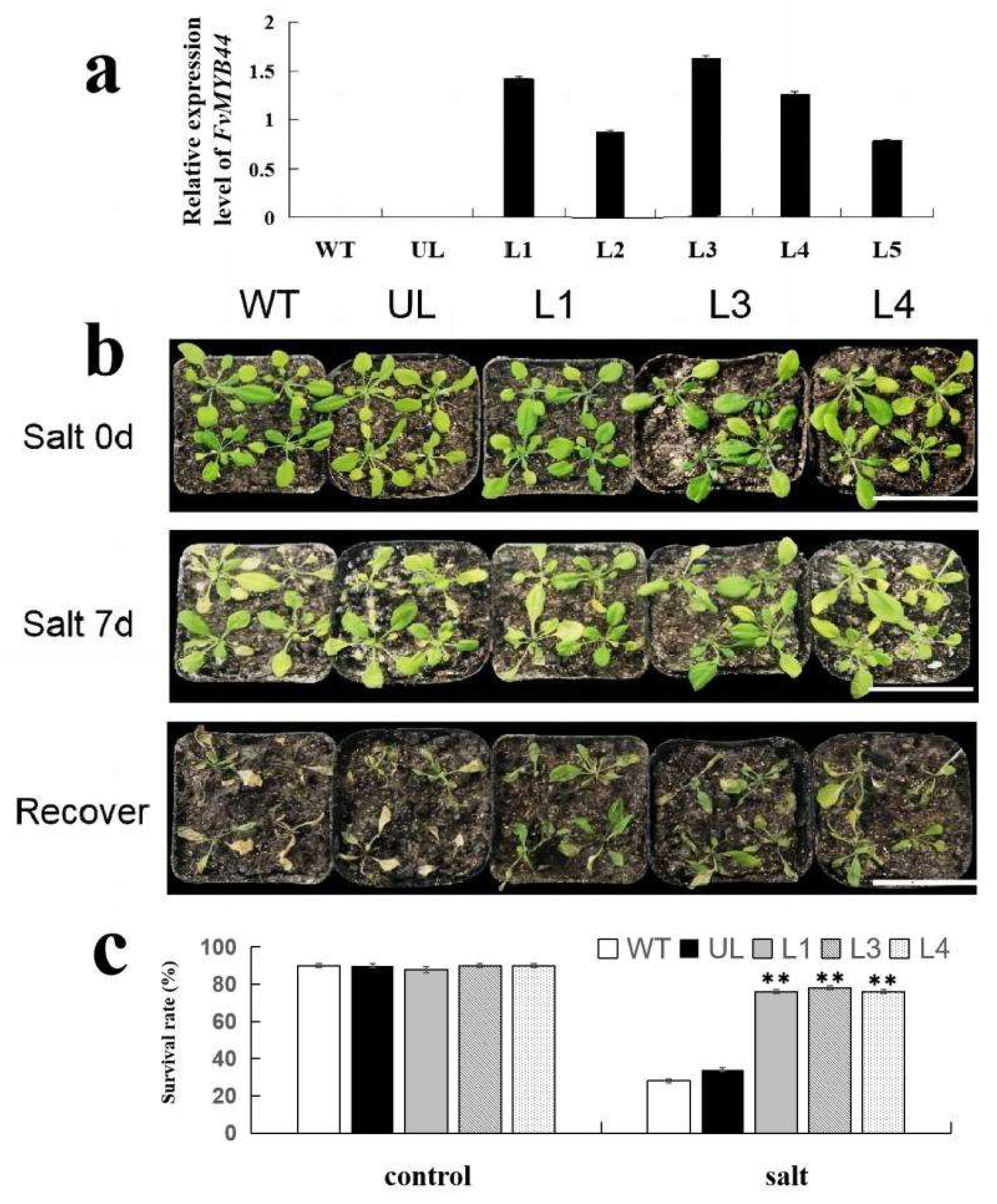 Agronomy 13 01051 g005