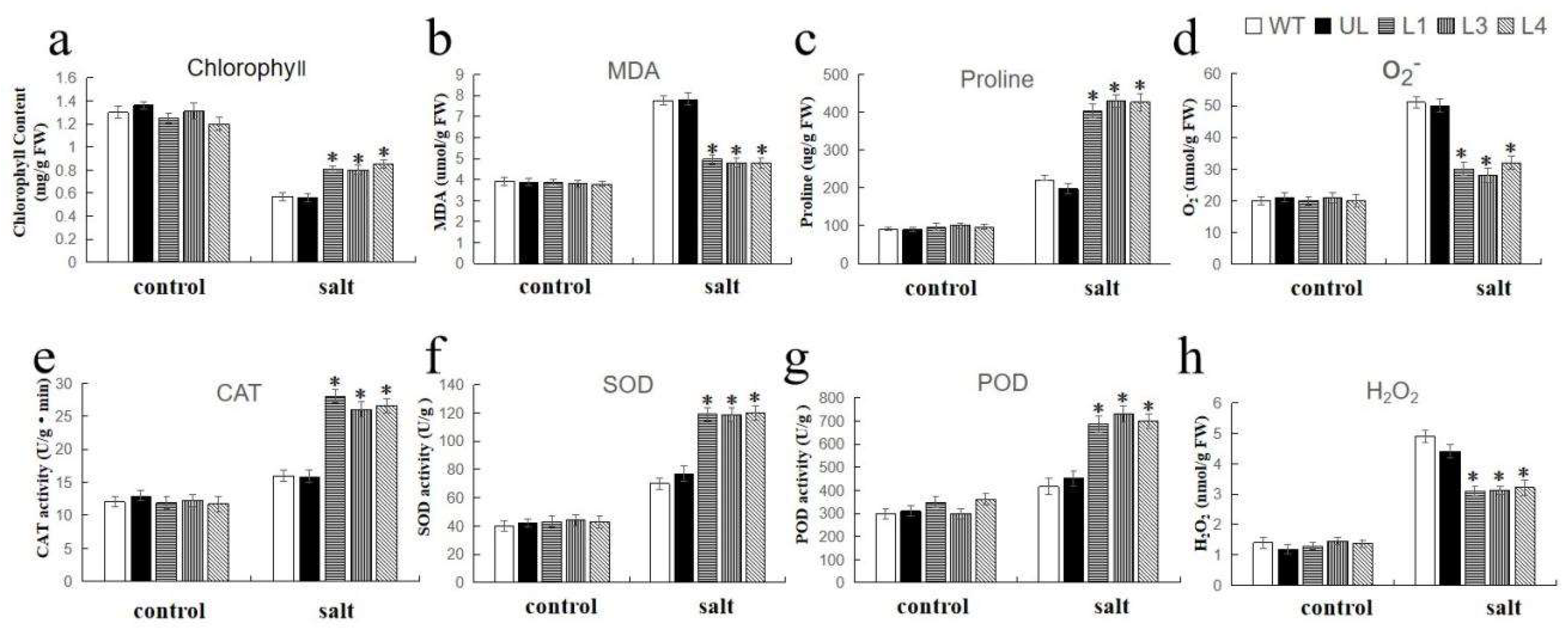 Agronomy 13 01051 g006