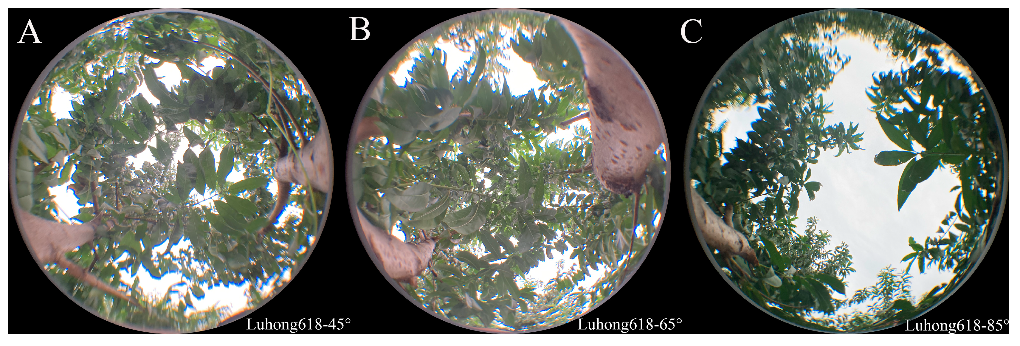 Agronomy 13 01058 g003