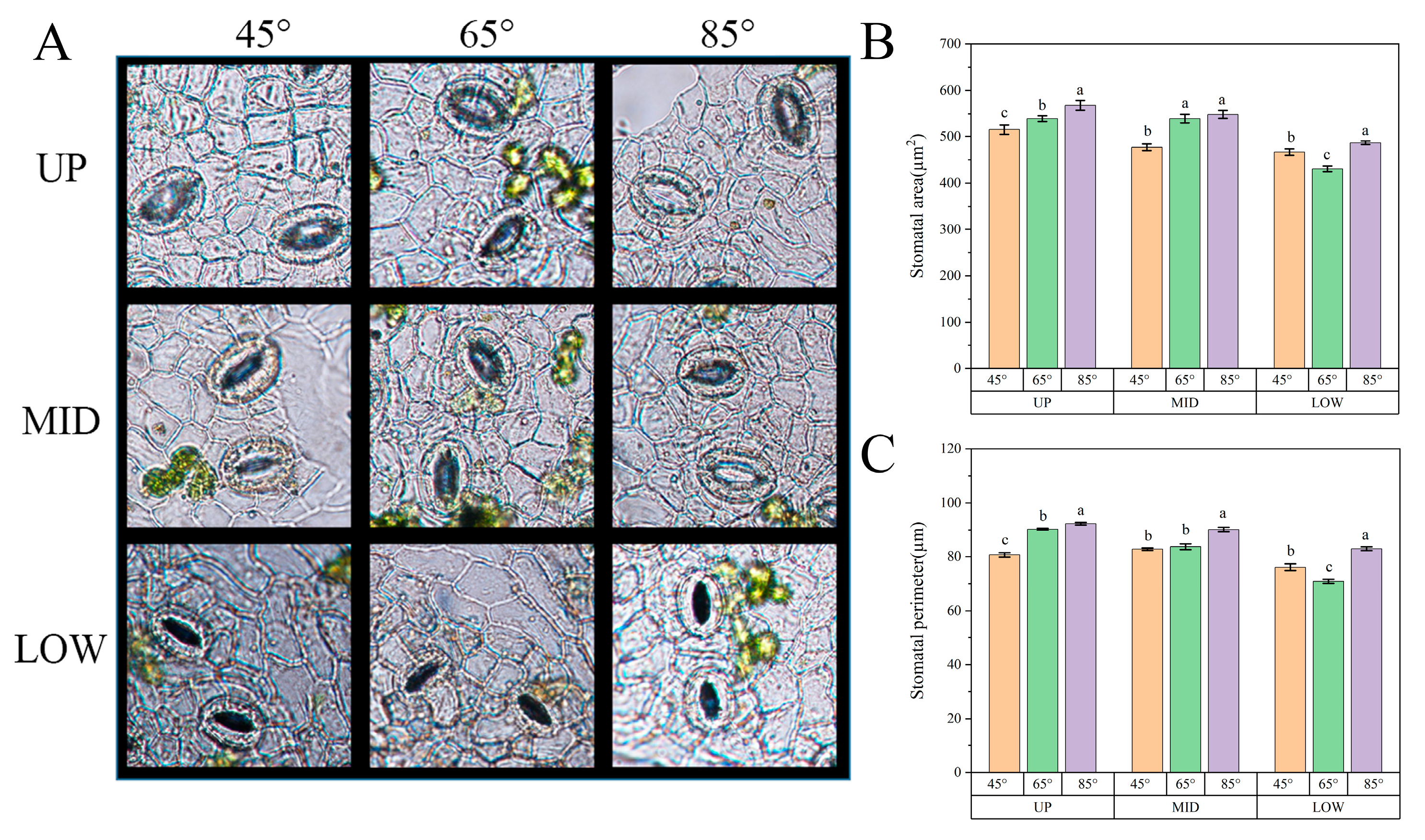 Agronomy 13 01058 g008