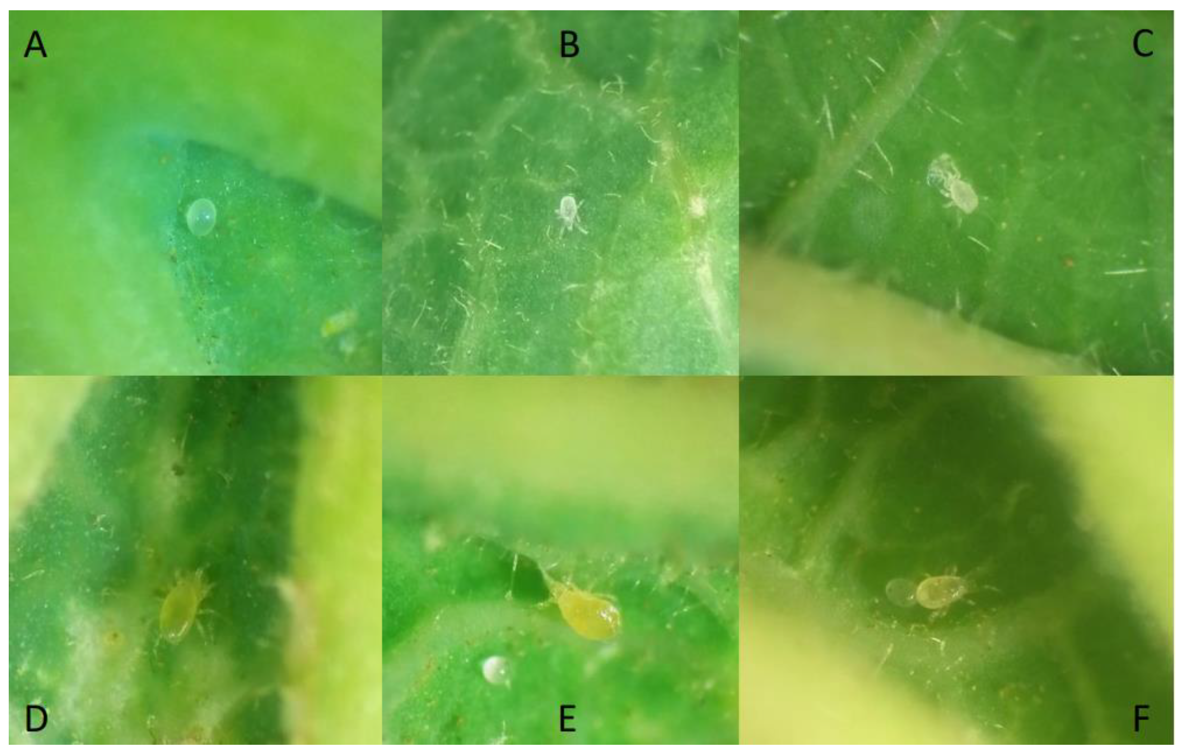 Agronomy 13 01061 g003 Agronomy 13 01061 g003