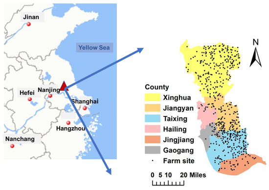 Analytic Method for Optimizing the Allocation of Manure