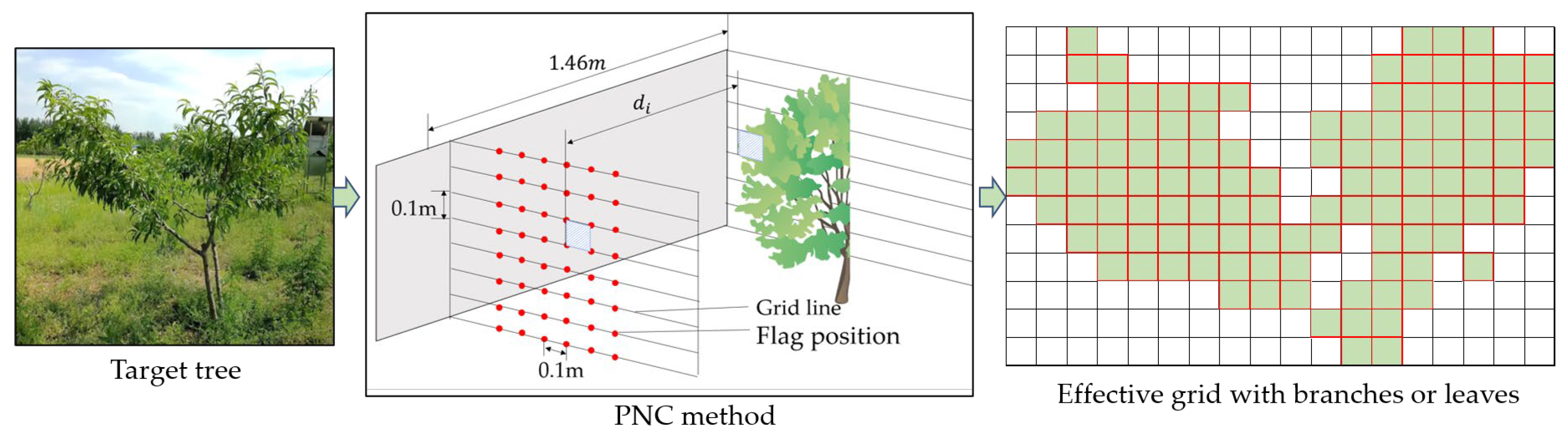 Agronomy 13 01077 g002