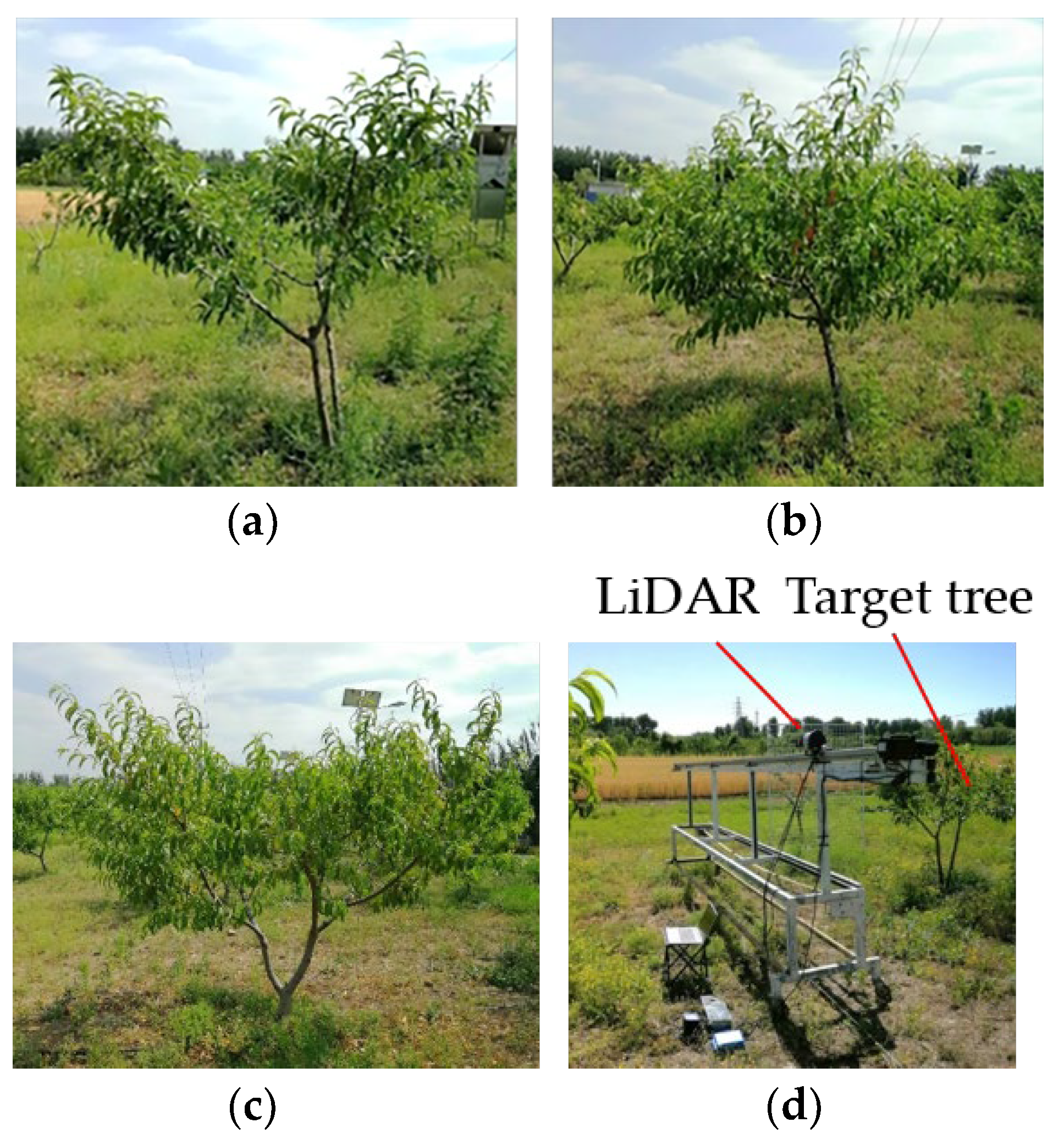 Agronomy 13 01077 g006