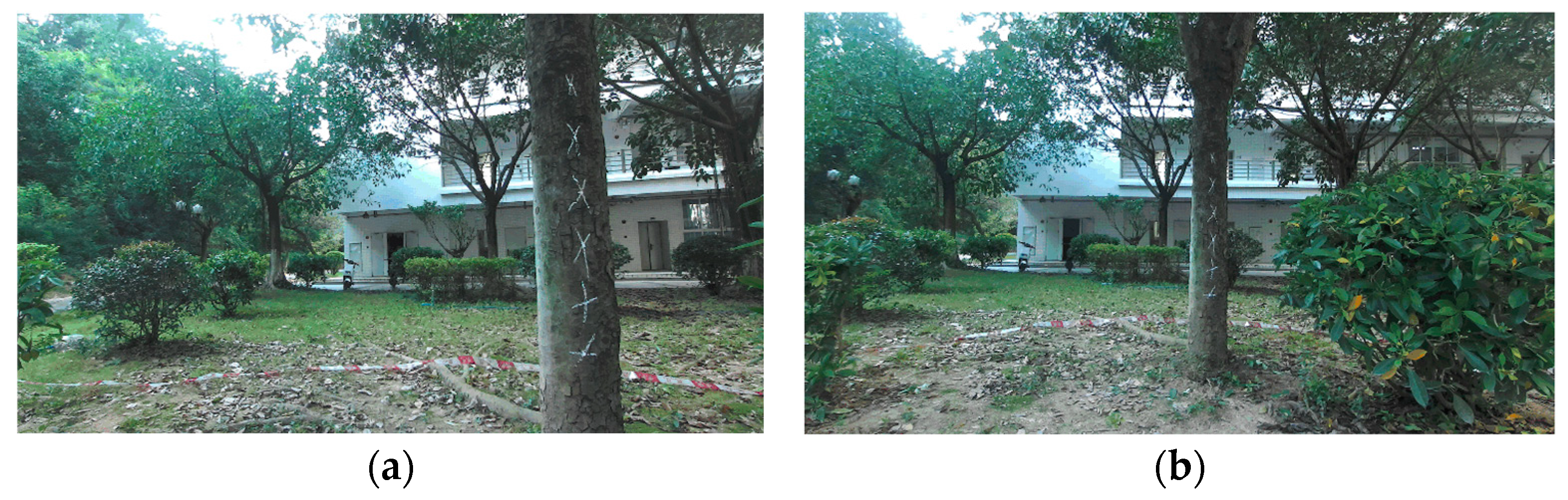 Agronomy 13 01084 g007