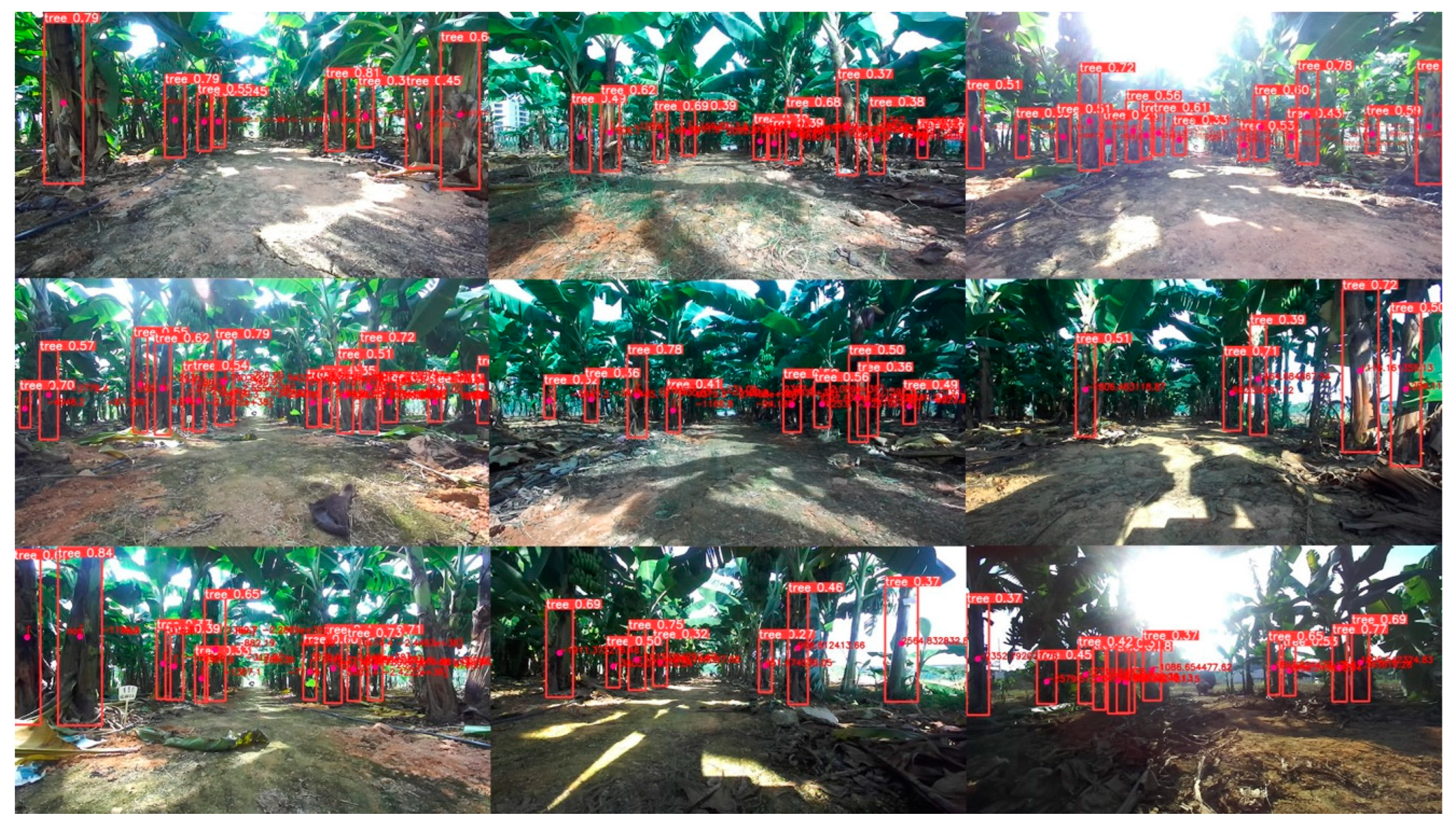 Agronomy 13 01084 g014