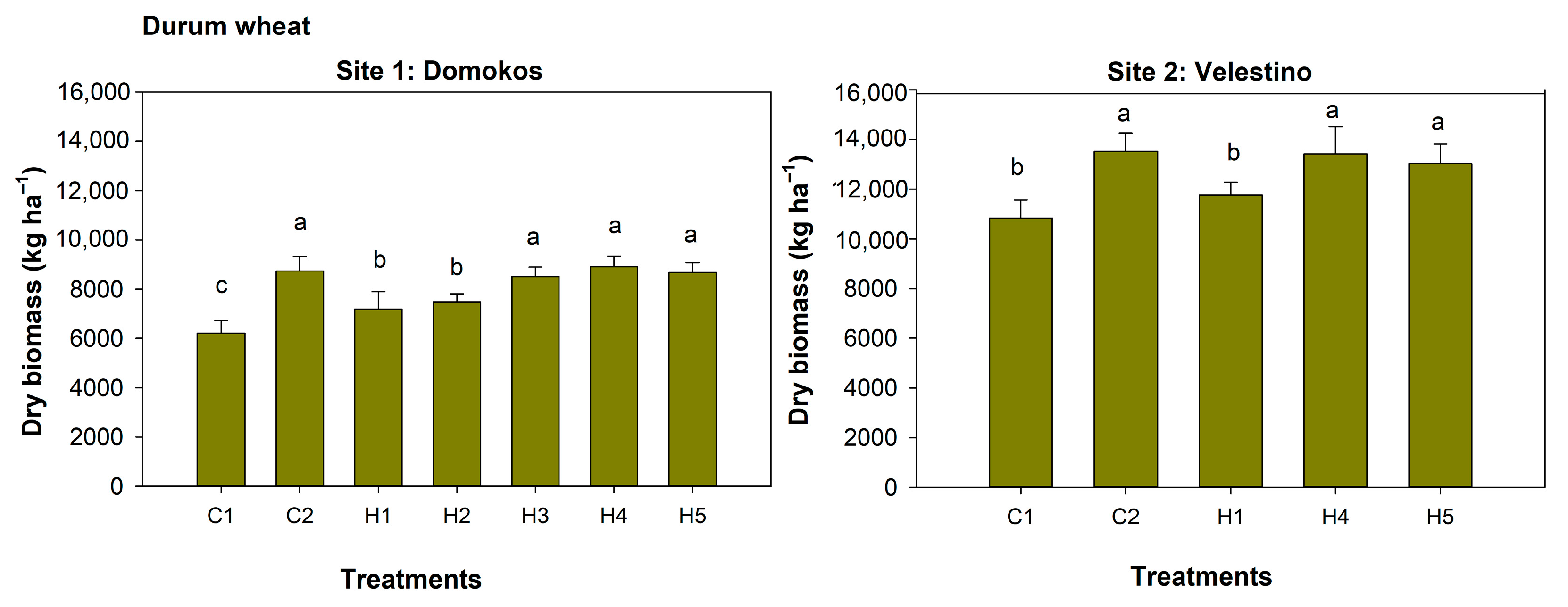 Agronomy 13 01087 g007 Agronomy 13 01087 g007