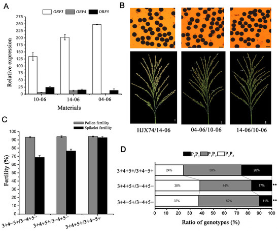 Genetic Analysis of S5 Regulating the Hybrid Sterility