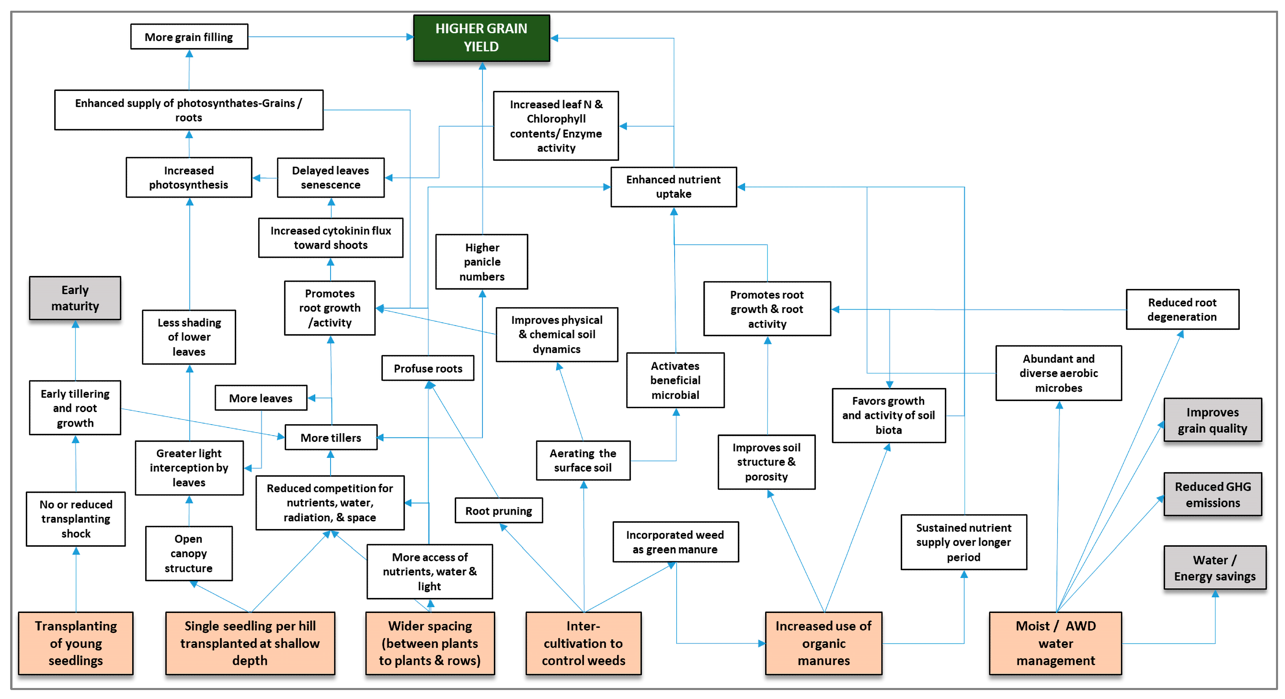 Agronomy 13 01098 g006